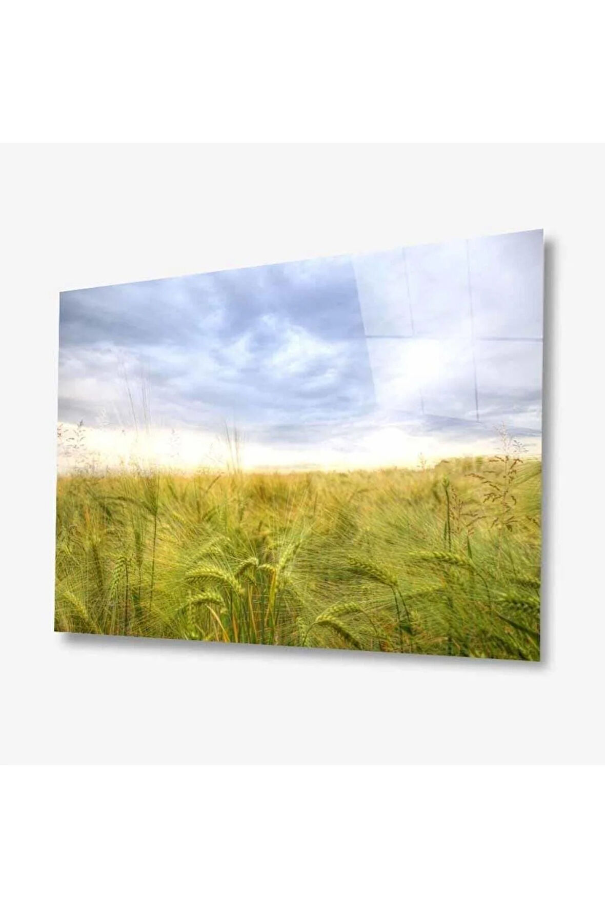 Doğa Cam Tablo 4mm Dayanıklı Temperli Cam