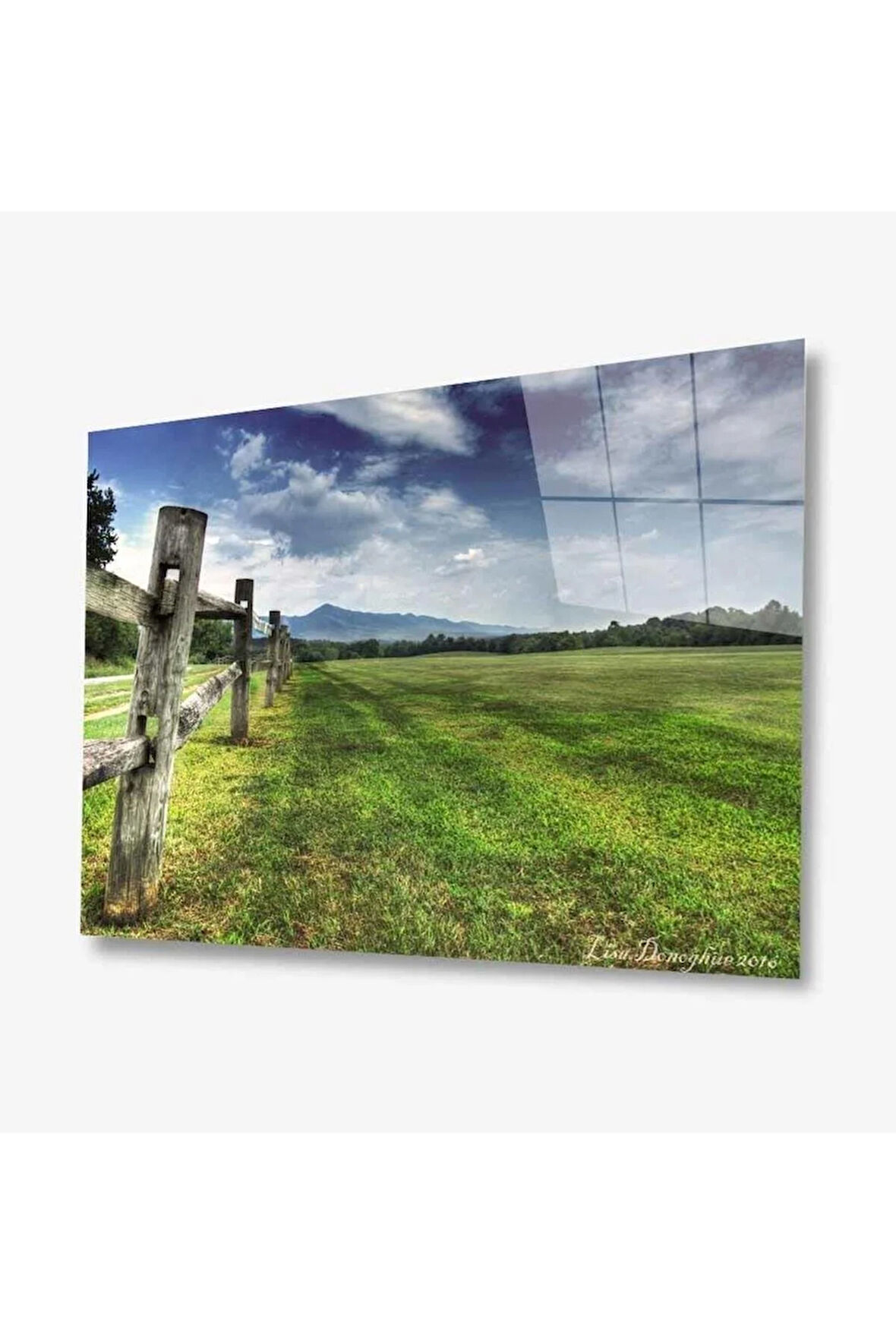 Doğa Cam Tablo 4mm Dayanıklı Temperli Cam