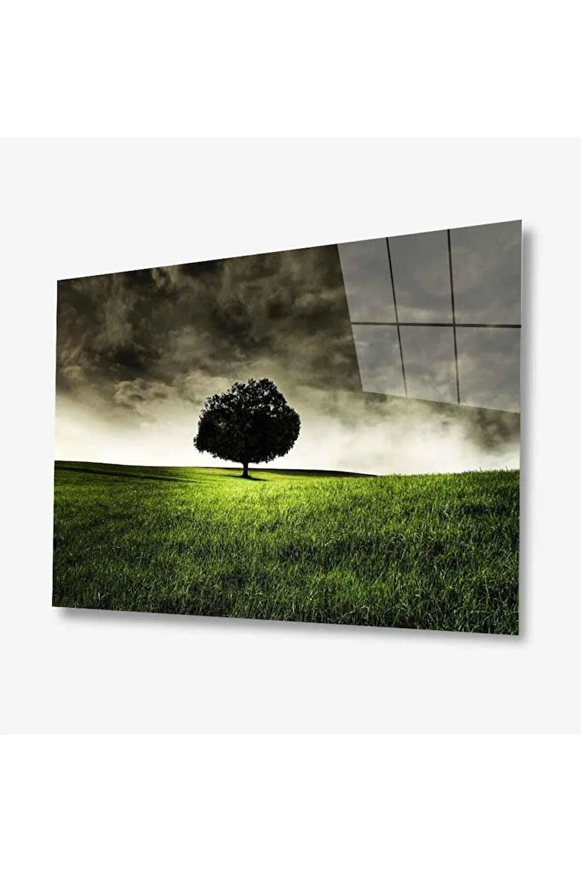 Doğa Cam Tablo 4mm Dayanıklı Temperli Cam