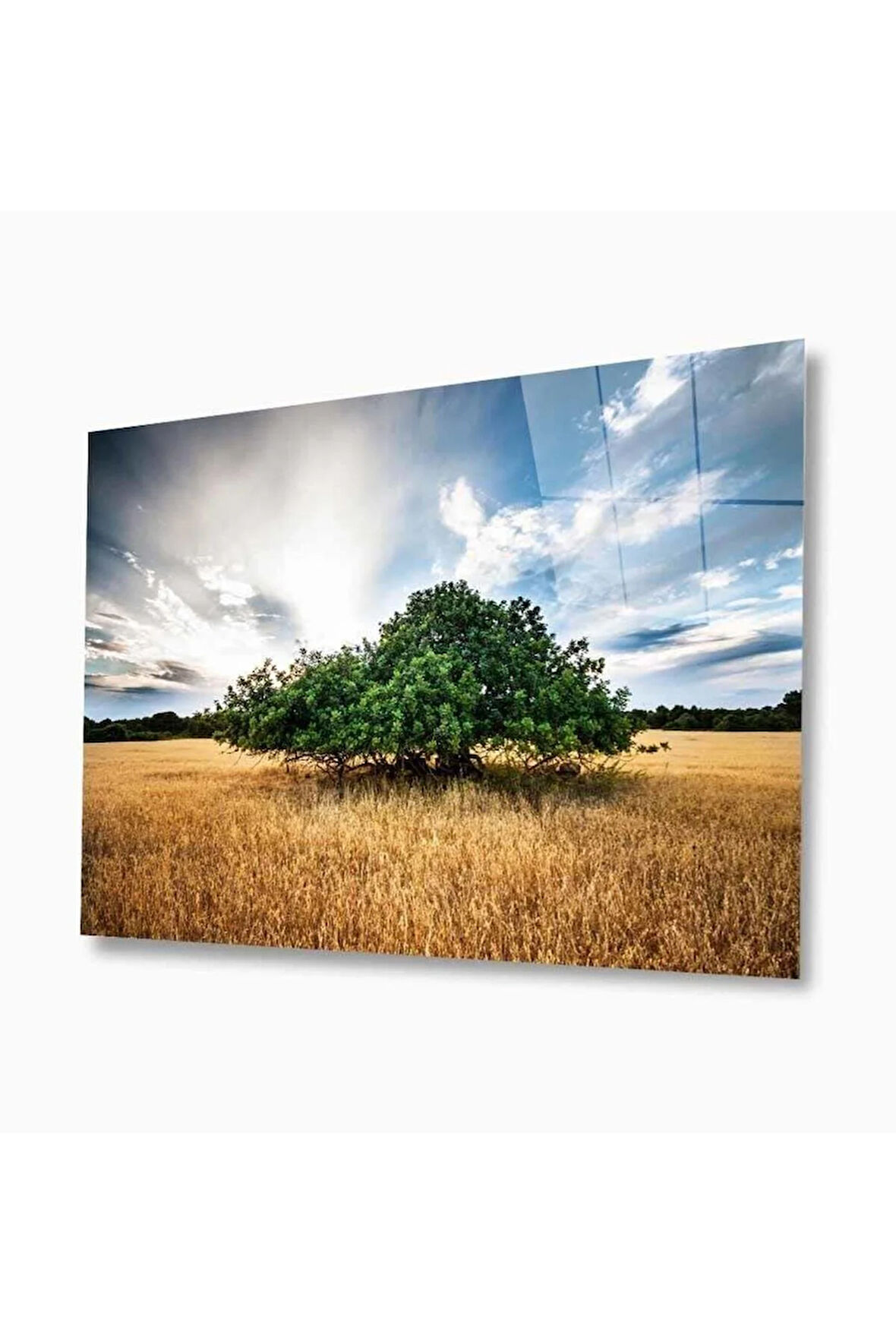 Doğa Cam Tablo 4mm Dayanıklı Temperli Cam