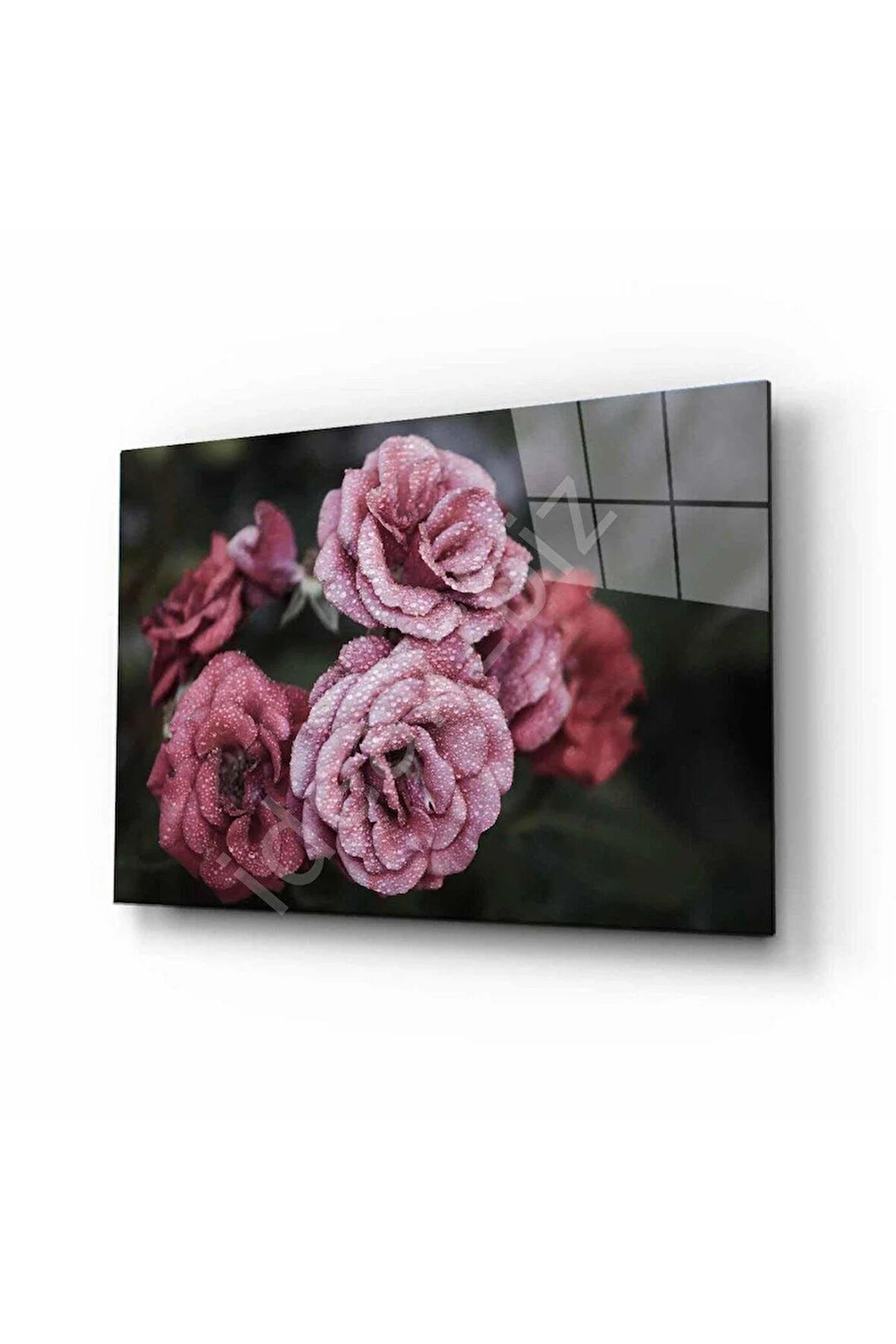 Doğa Cam Tablo 4mm Dayanıklı Temperli Cam