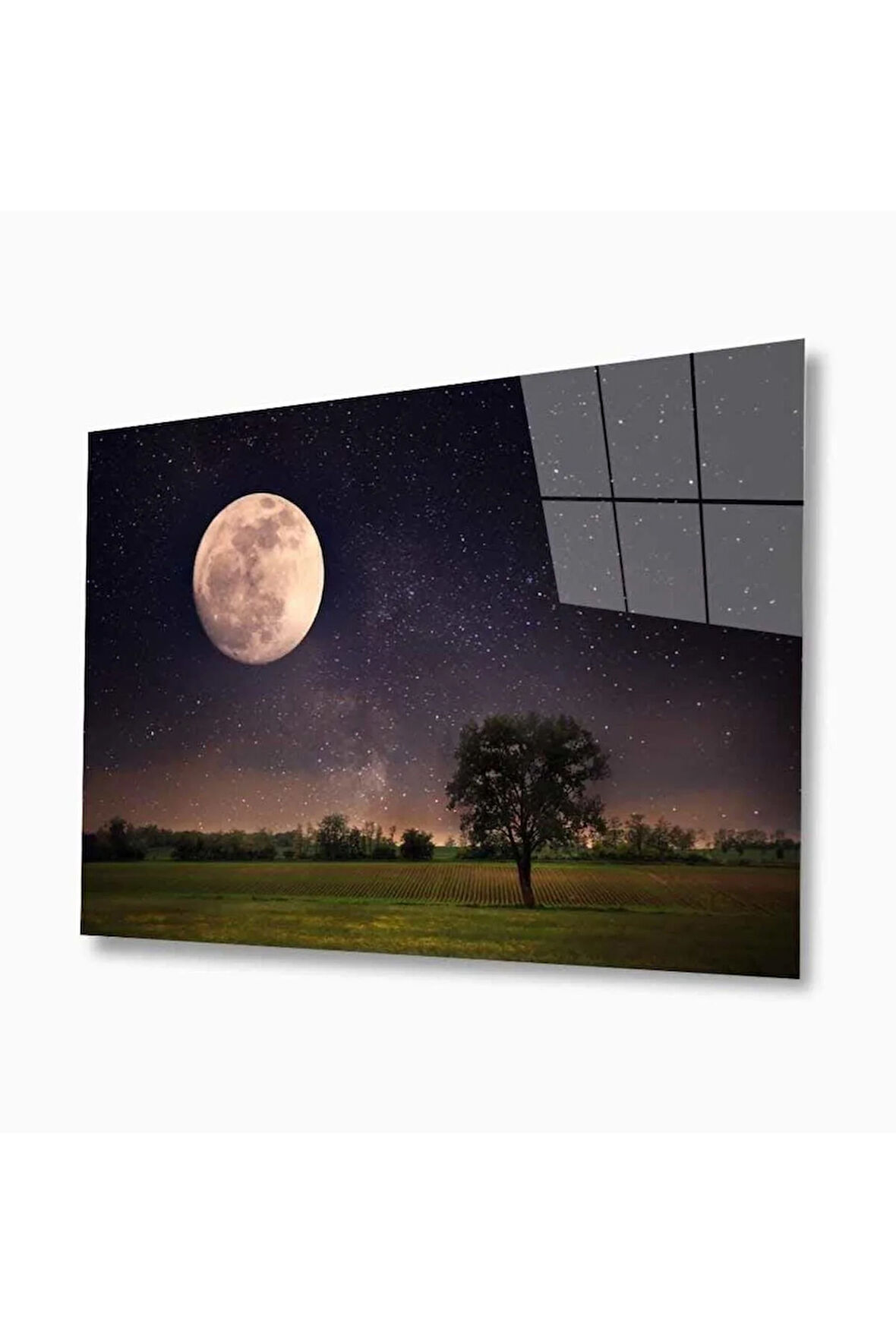 Doğa Cam Tablo 4mm Dayanıklı Temperli Cam