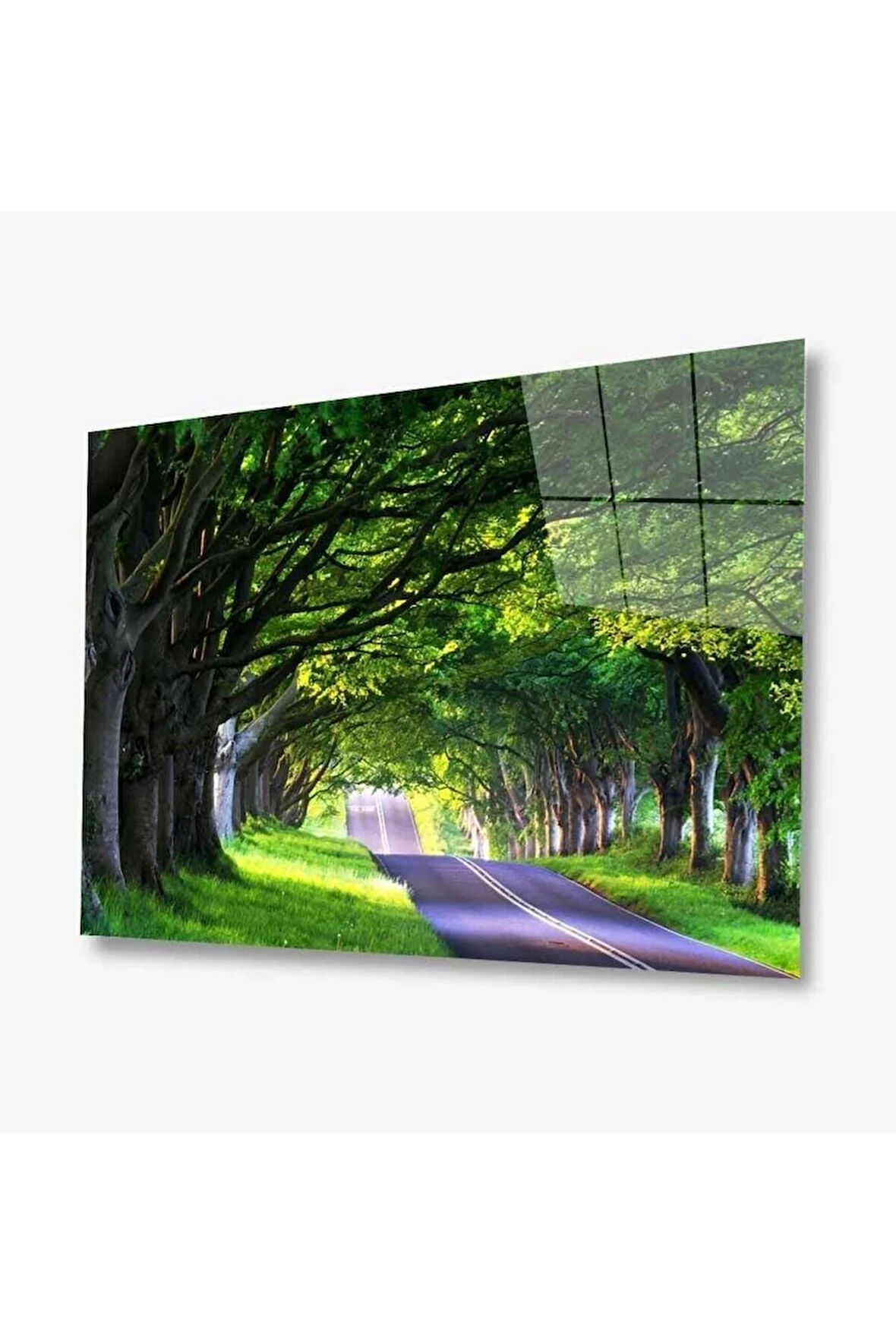 Doğa Cam Tablo 4mm Dayanıklı Temperli Cam