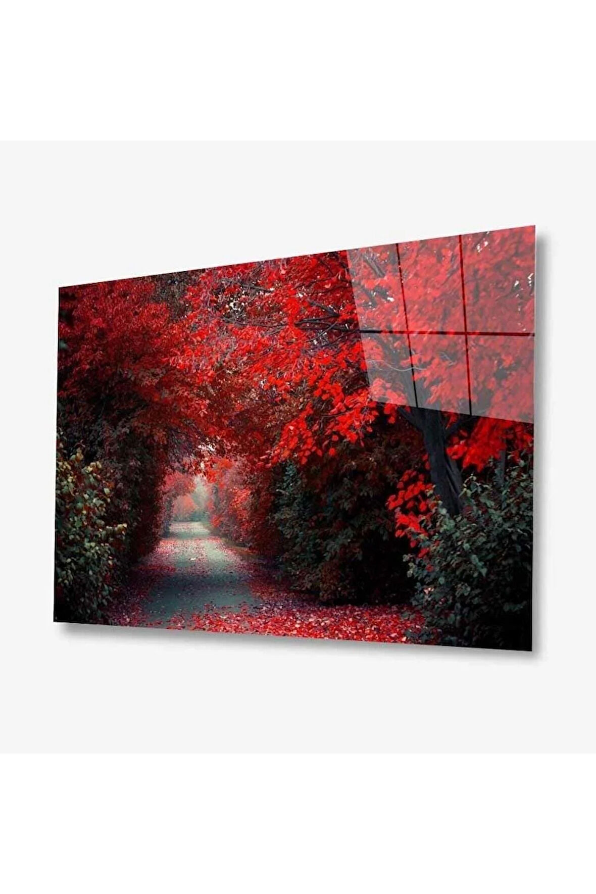 Doğa Cam Tablo 4mm Dayanıklı Temperli Cam