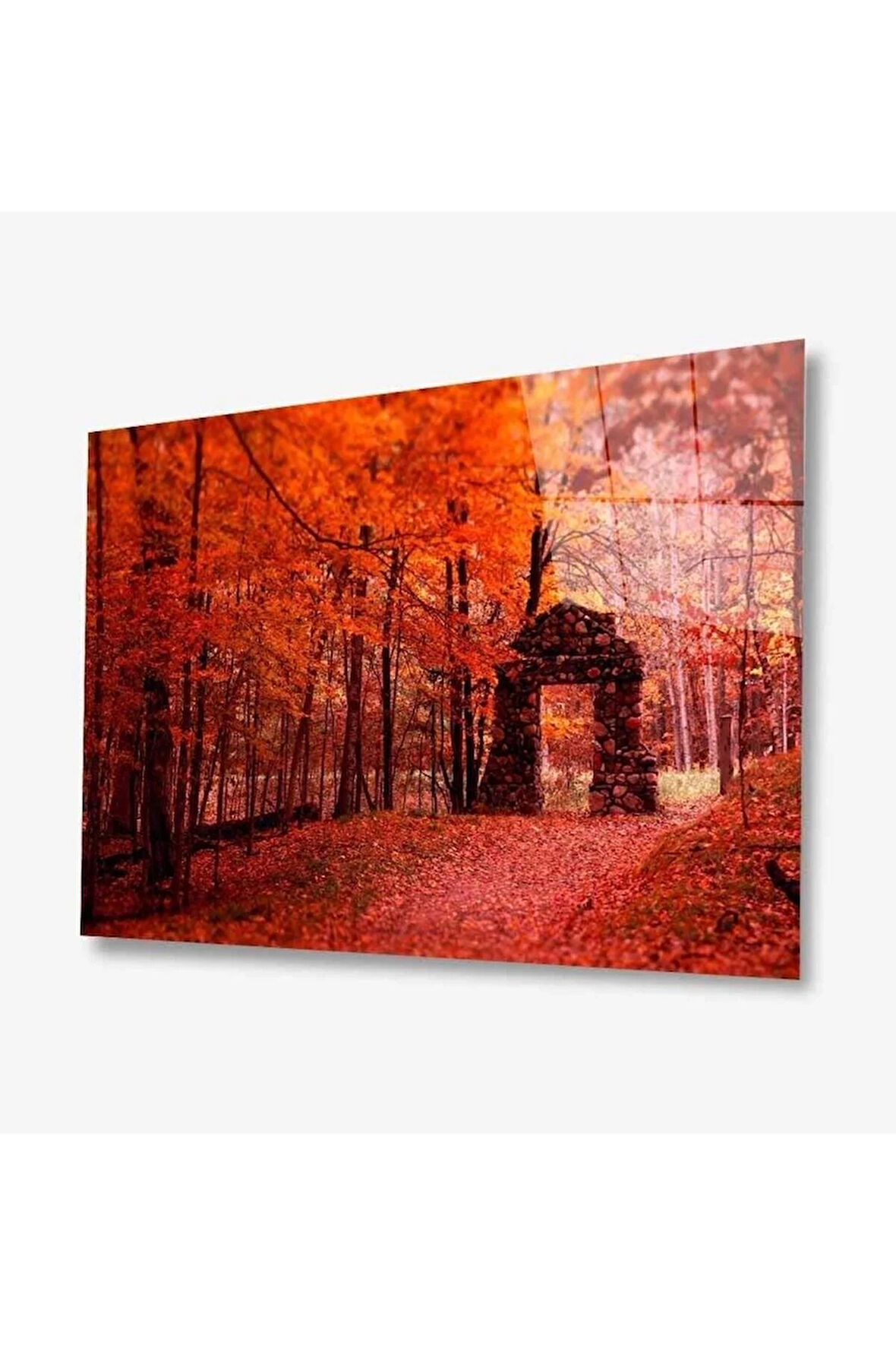 Doğa Cam Tablo 4mm Dayanıklı Temperli Cam