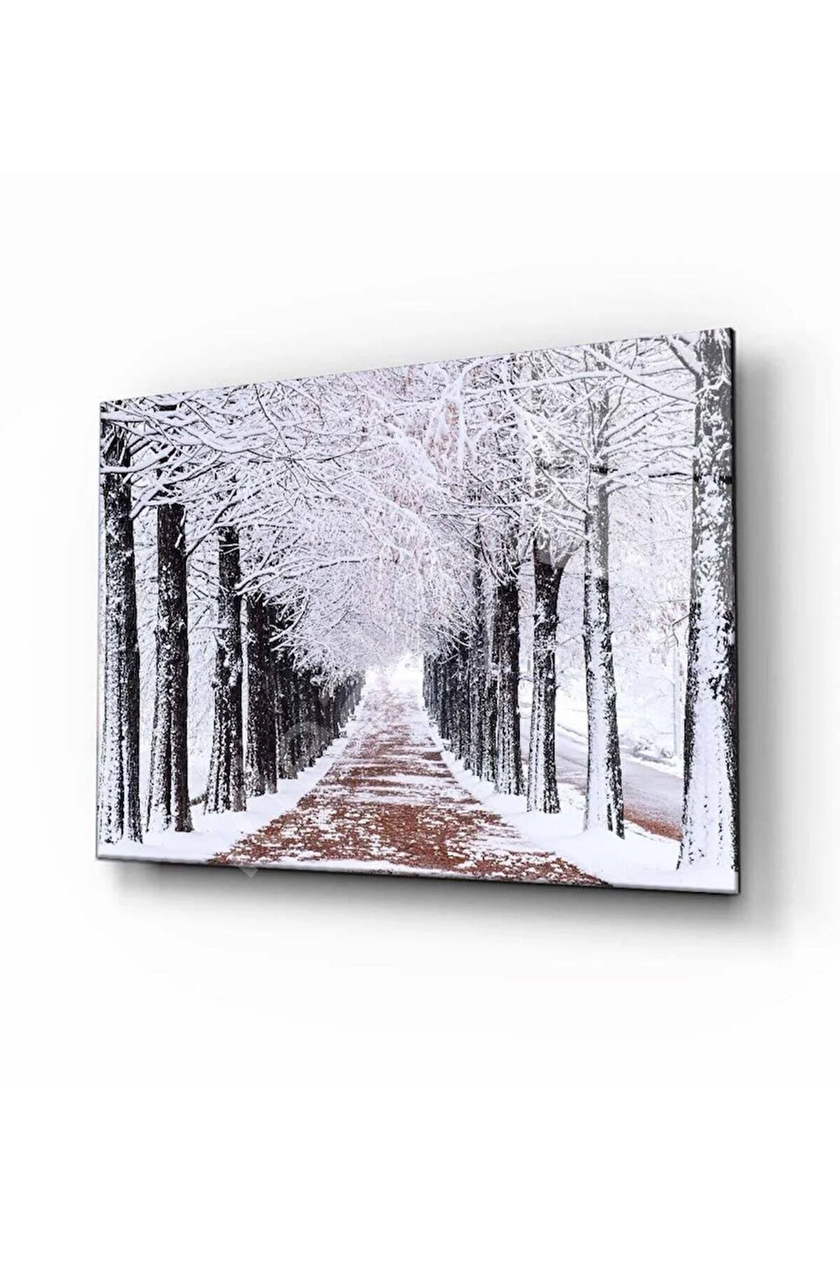 Kış Manzarası Doğa Cam Tablo 4mm Dayanıklı Temperli Cam