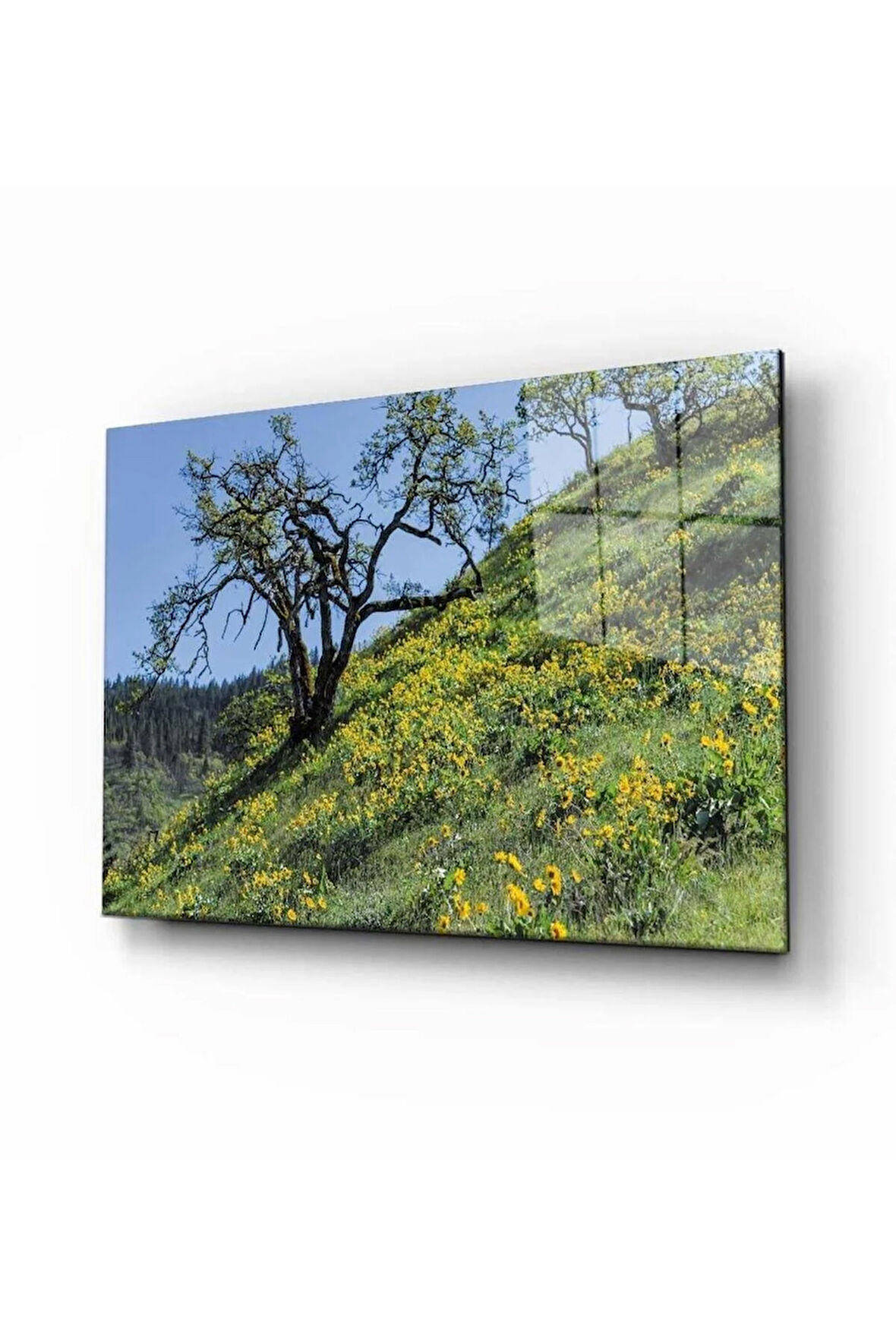 Doğa Temperli Cam Tablo