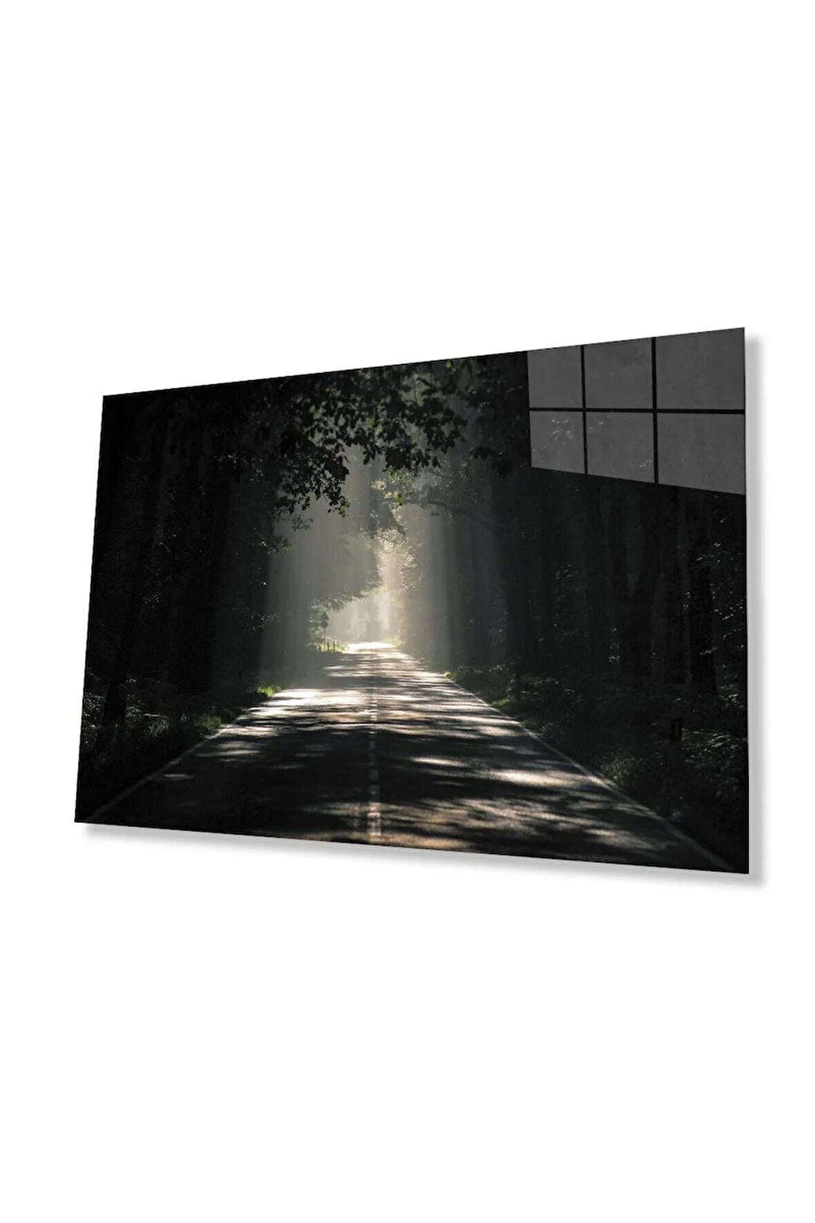 Ağaçlı Yol Cam Tablo 4mm Dayanıklı Temperli Cam Parkway Glass Wall Art