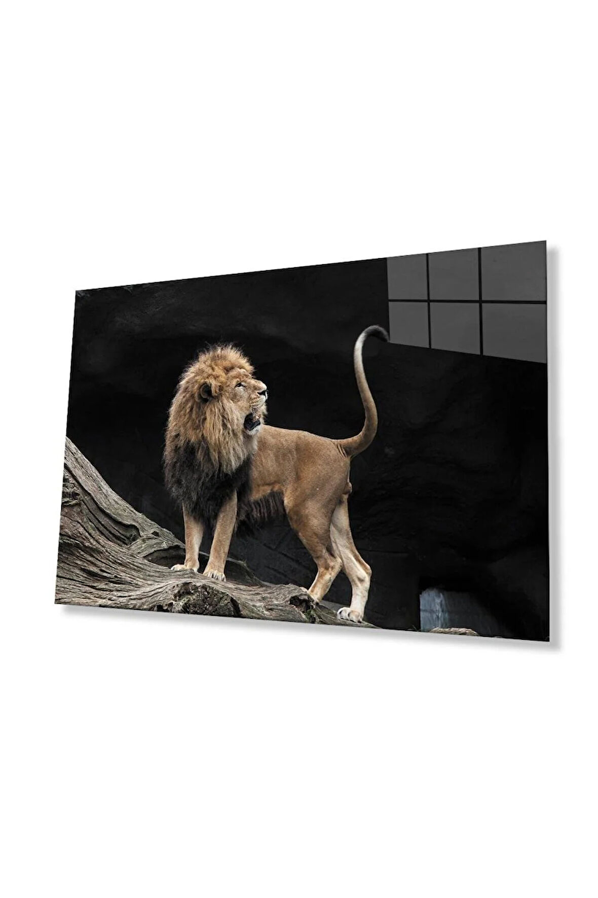 Aslan Cam Tablo 4mm Dayanıklı Temperli Cam