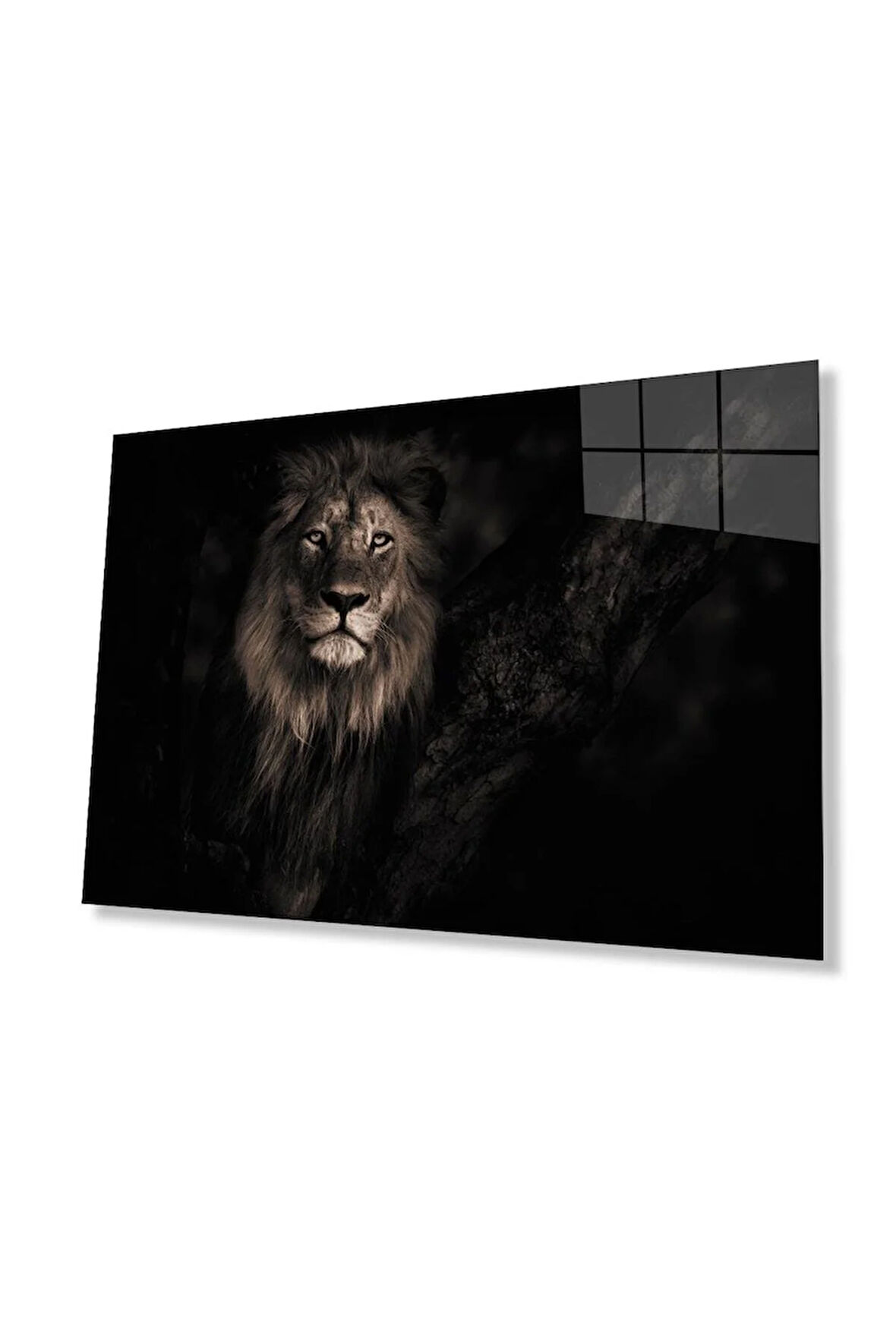 Aslan Cam Tablo 4mm Dayanıklı Temperli Cam