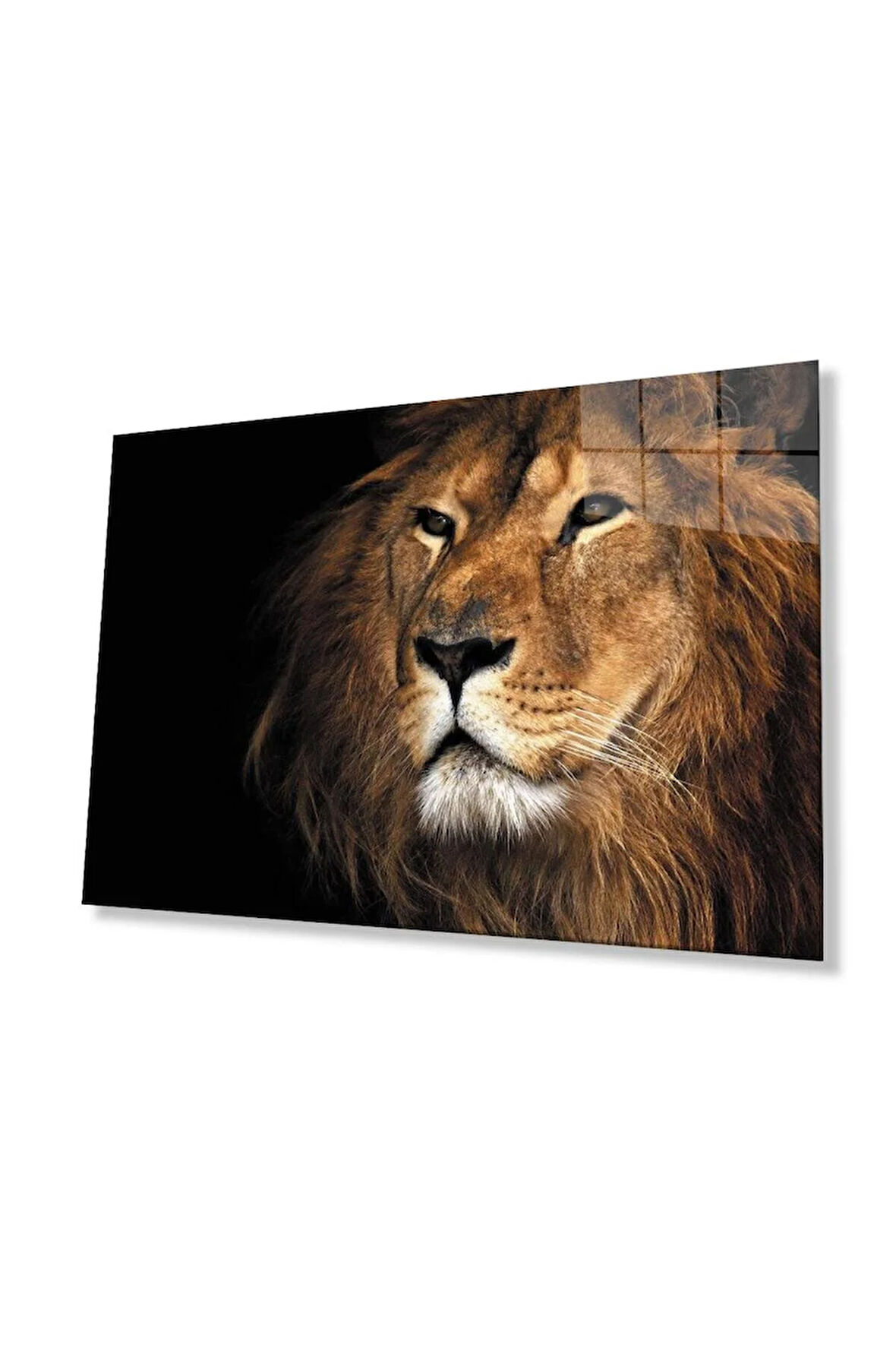 Aslan Cam Tablo 4mm Dayanıklı Temperli Cam