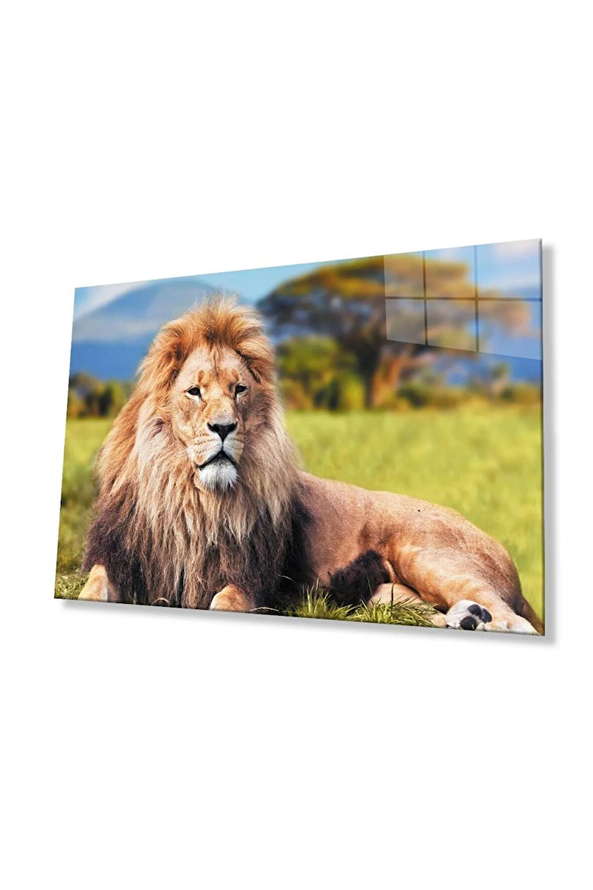 Aslan Cam Tablo 4mm Dayanıklı Temperli Cam