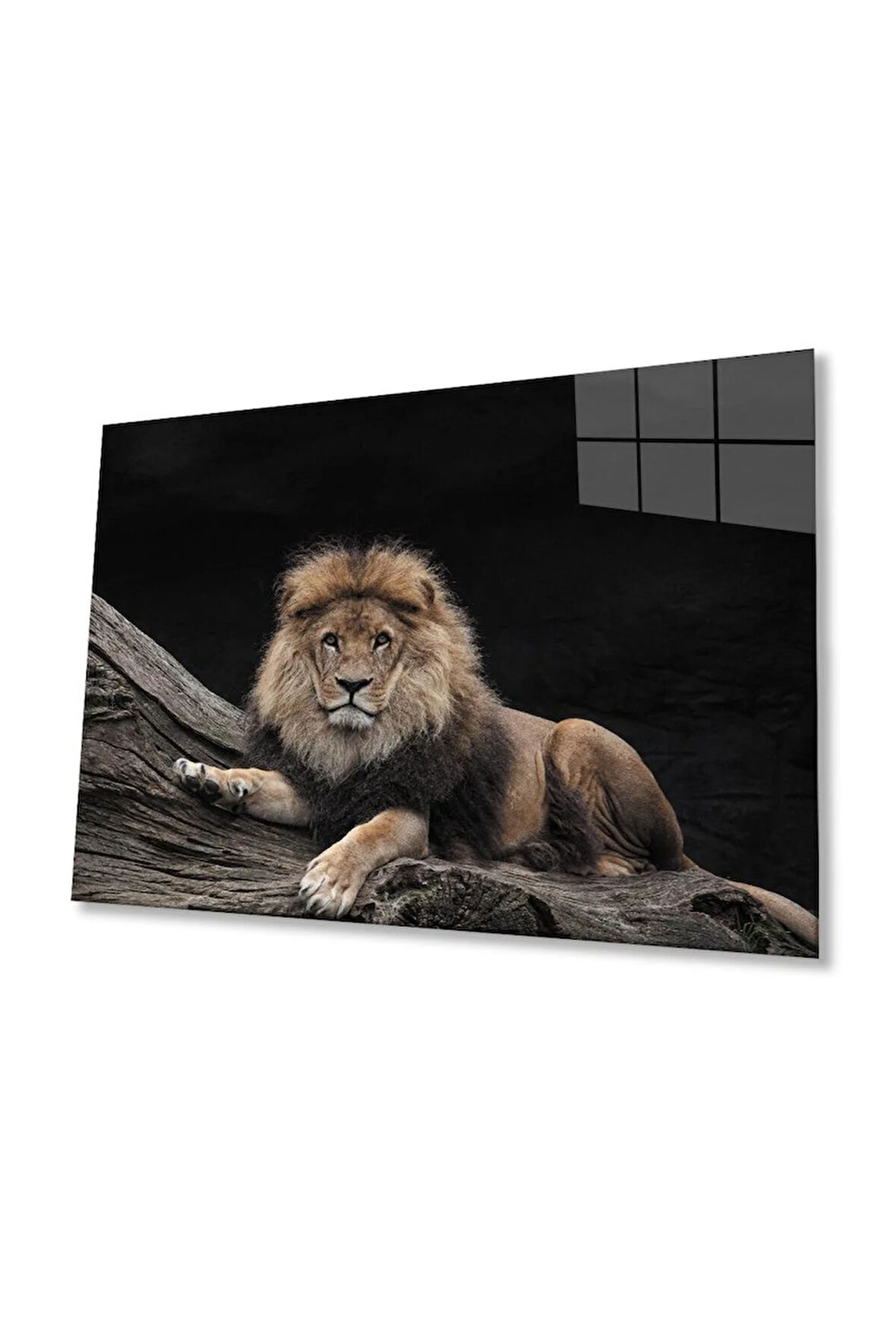 Aslan Cam Tablo