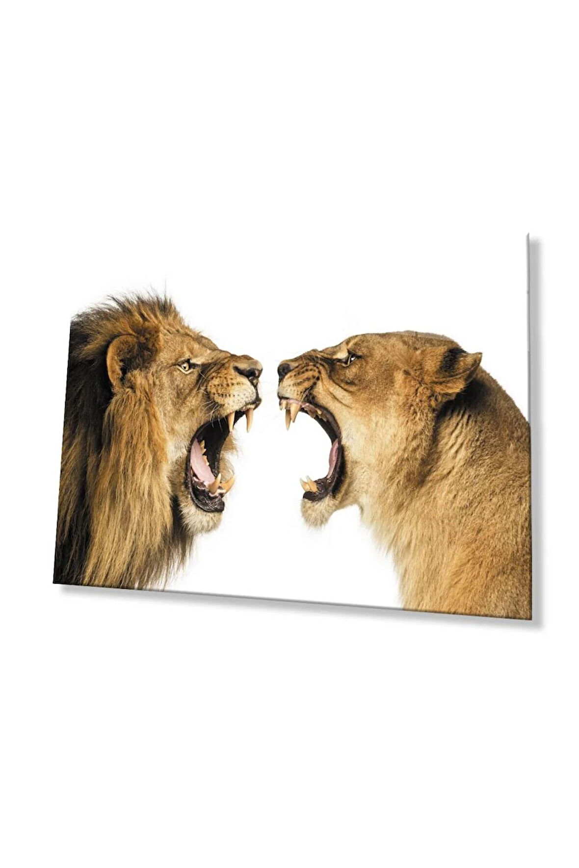 Aslan Cam Tablo 4mm Dayanıklı Temperli Cam