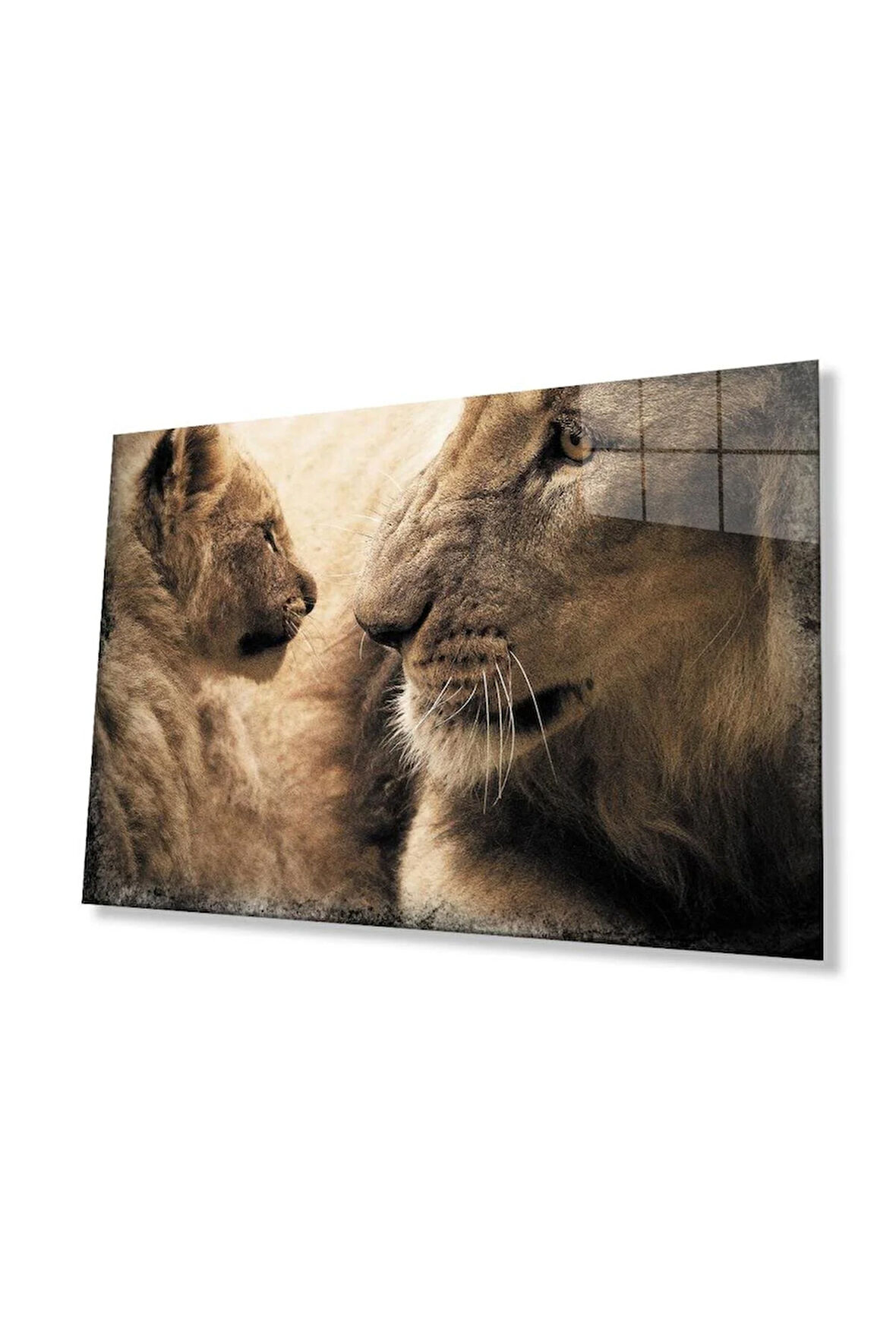 Aslan Cam Tablo 4mm Dayanıklı Temperli Cam