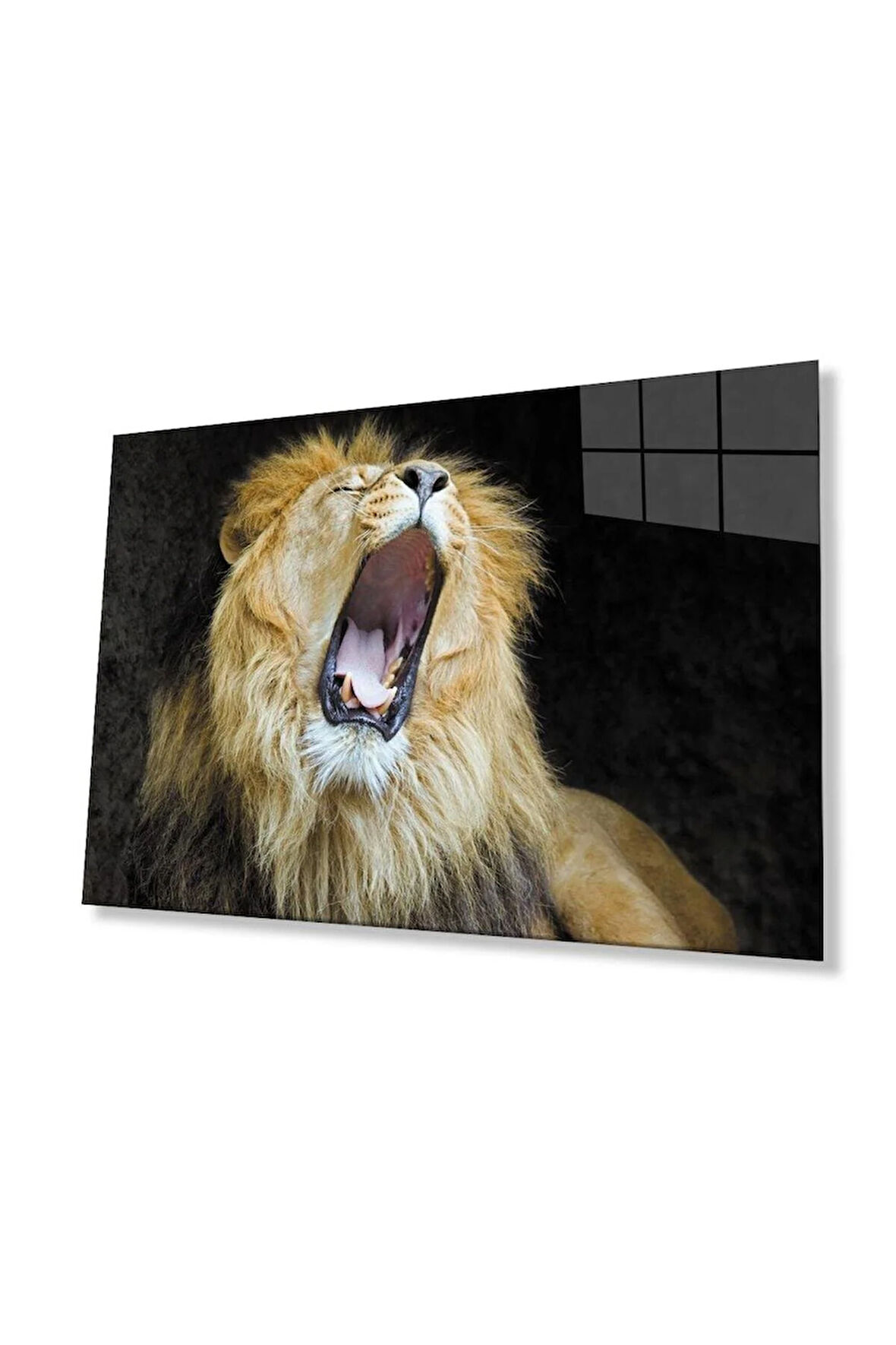 Aslan Cam Tablo 4mm Dayanıklı Temperli Cam