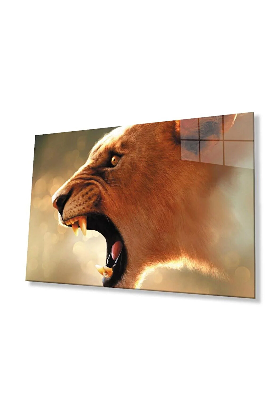 Aslan Cam Tablo 4mm Dayanıklı Temperli Cam