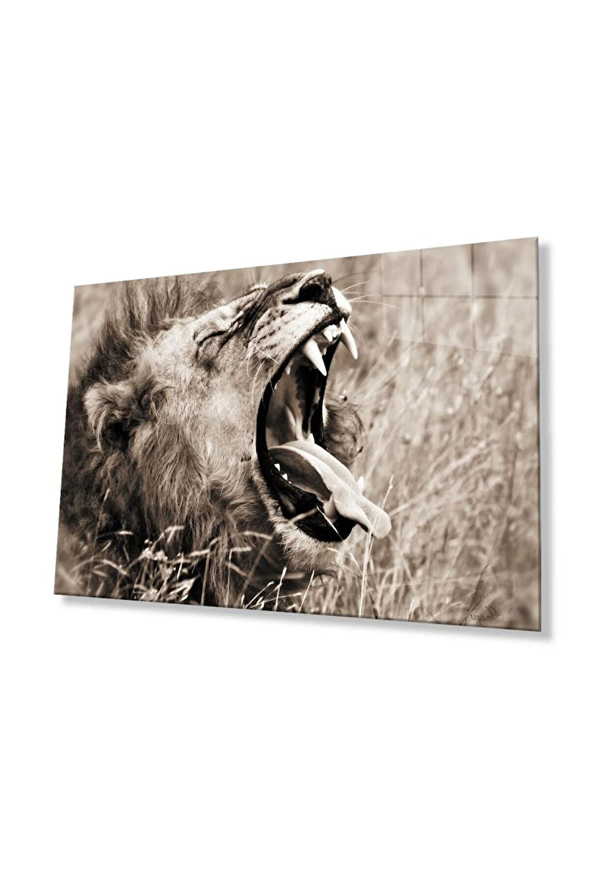 Aslan Cam Tablo 4mm Dayanıklı Temperli Cam