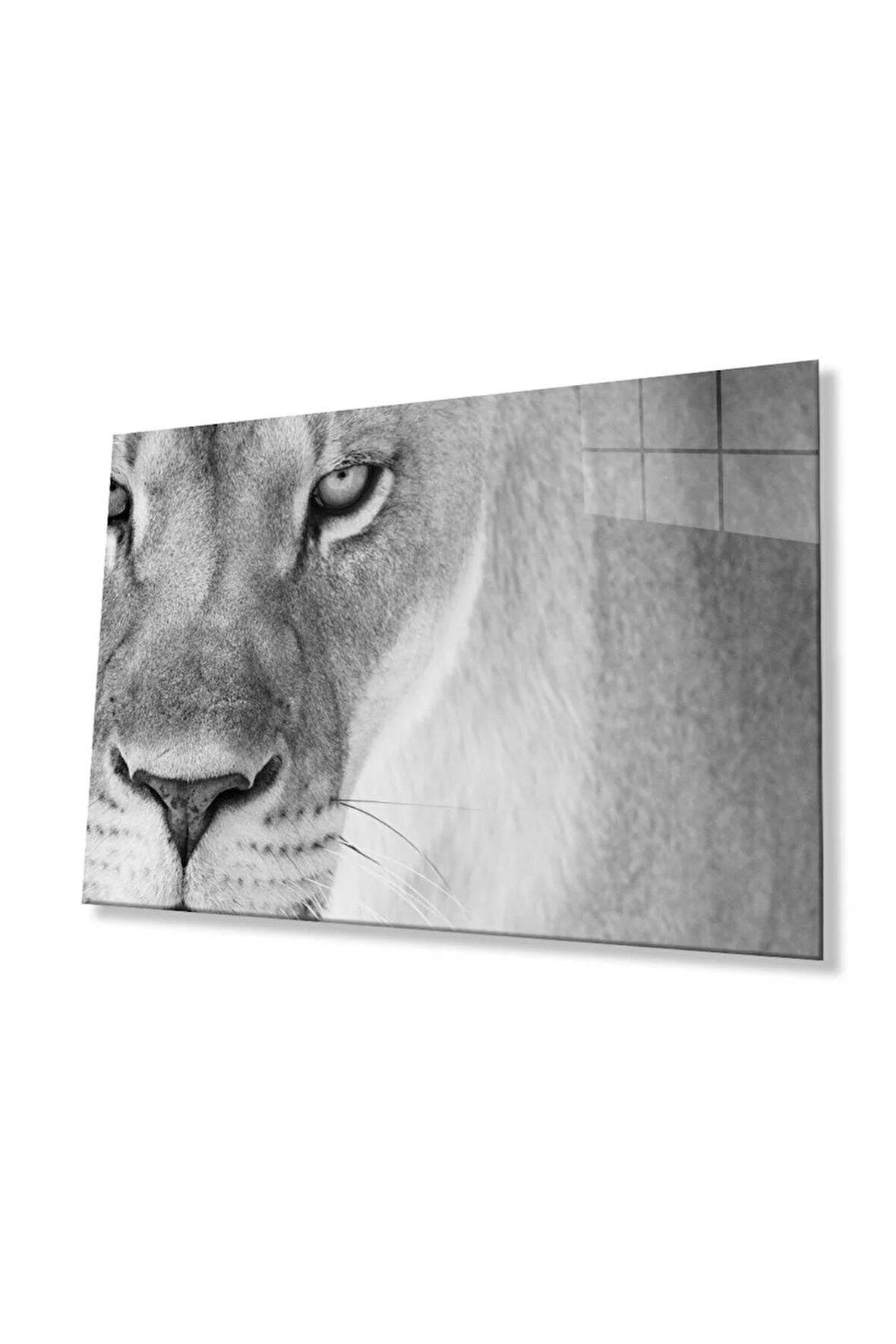 Aslan Cam Tablo 4mm Dayanıklı Temperli Cam