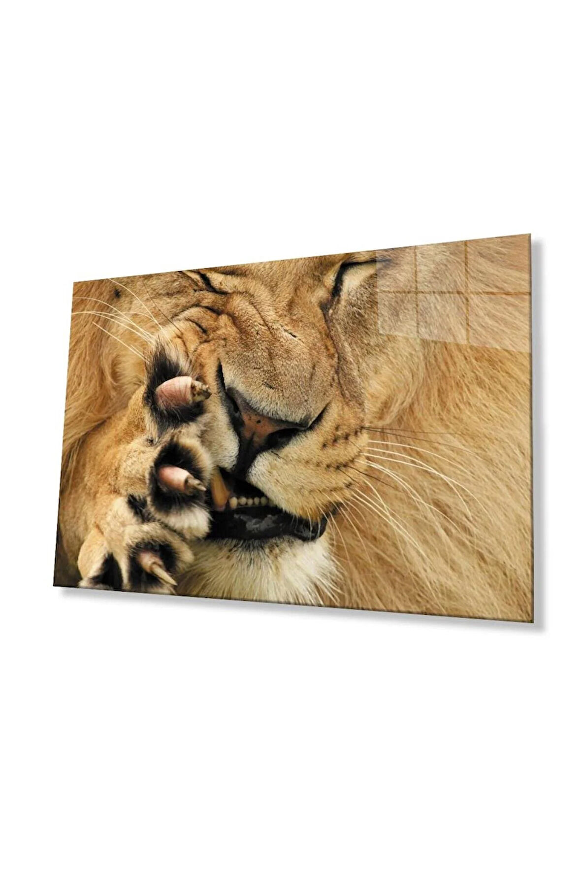 Aslan Cam Tablo 4mm Dayanıklı Temperli Cam