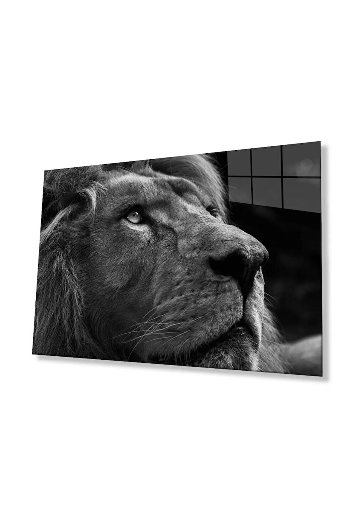 Aslan Cam Tablo 4mm Dayanıklı Temperli Cam