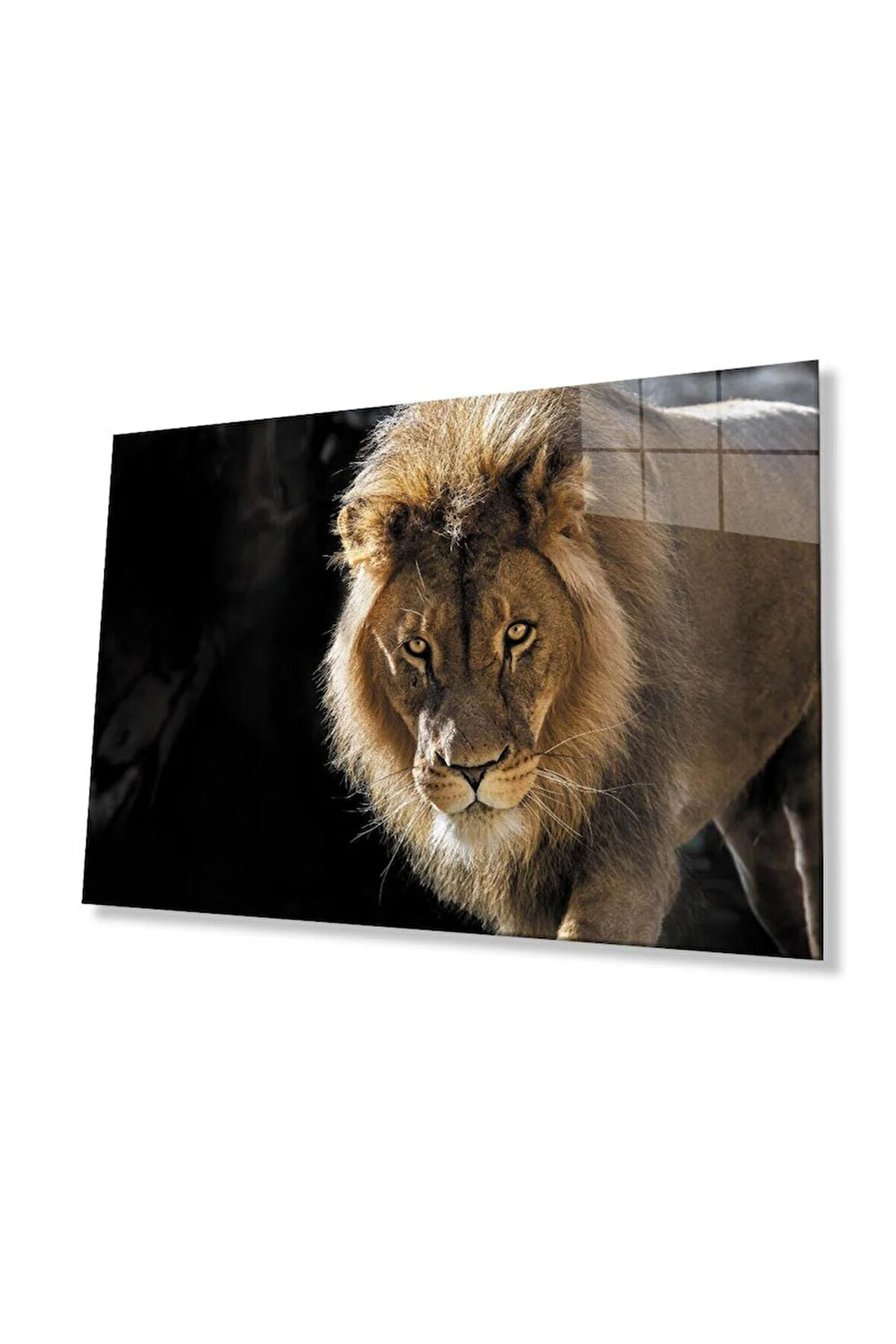 Aslan Cam Tablo 4mm Dayanıklı Temperli Cam