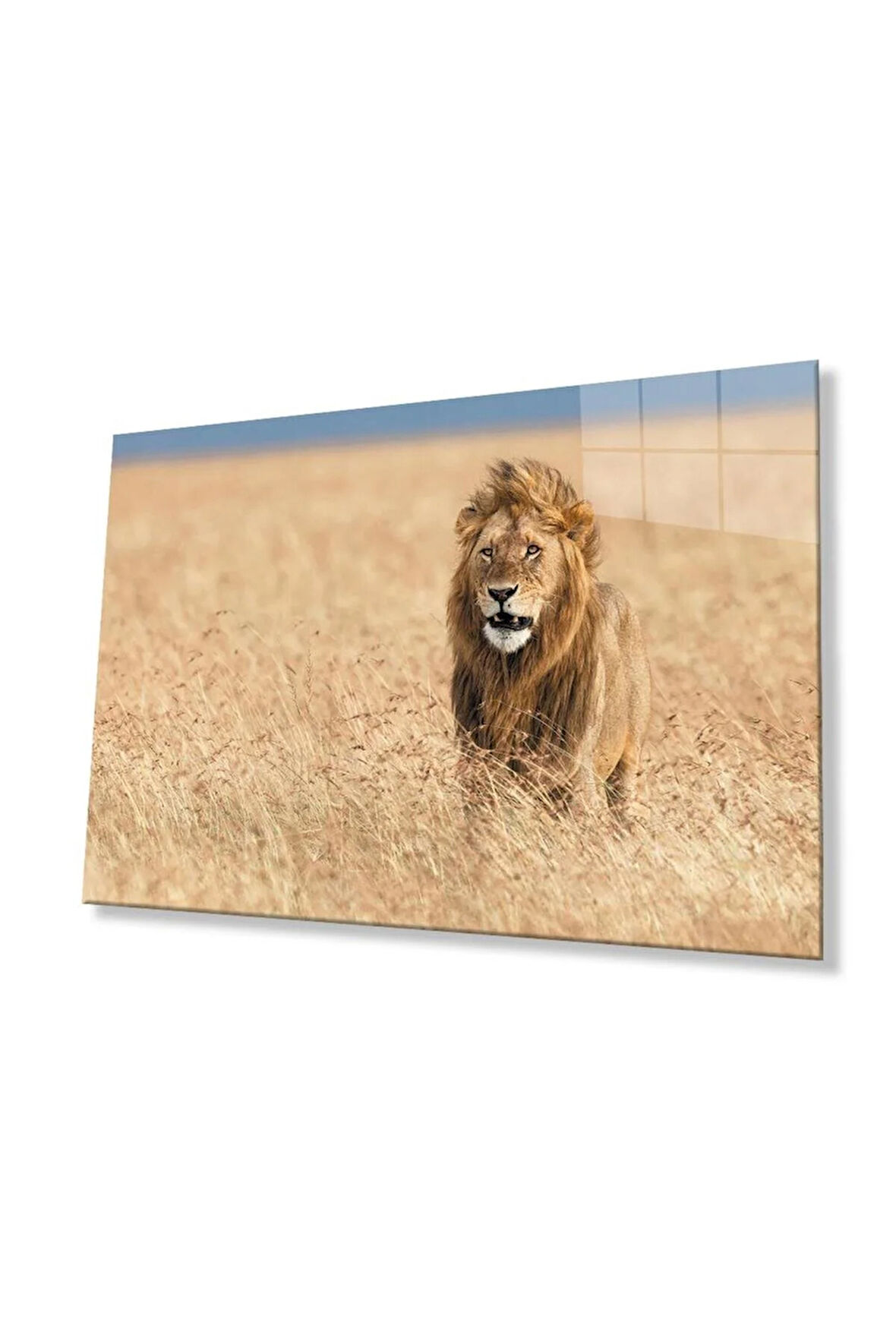 Aslan Cam Tablo 4mm Dayanıklı Temperli Cam