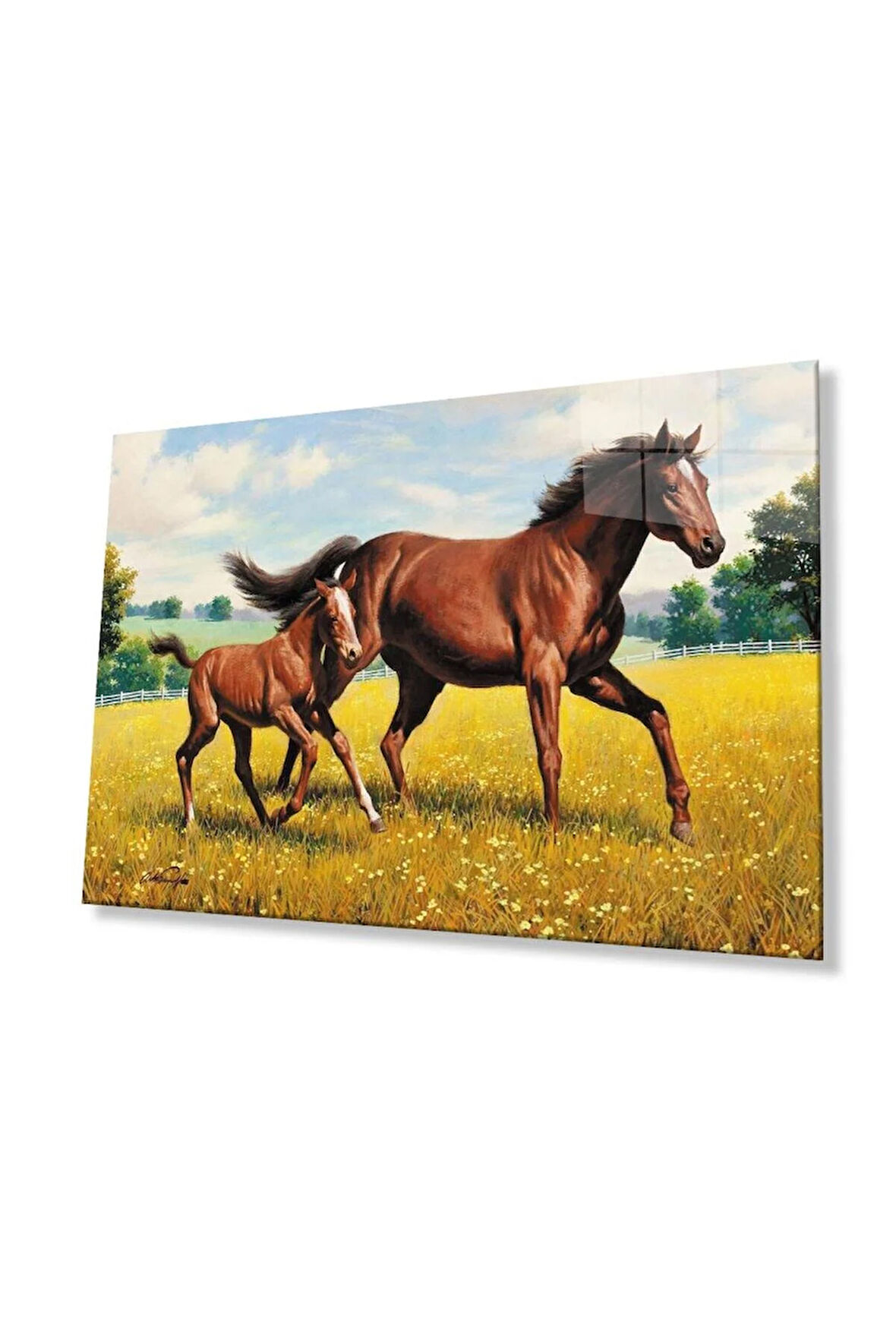 Beyaz Atlar Hayvan Cam Tablo 4mm Dayanıklı Temperli Cam