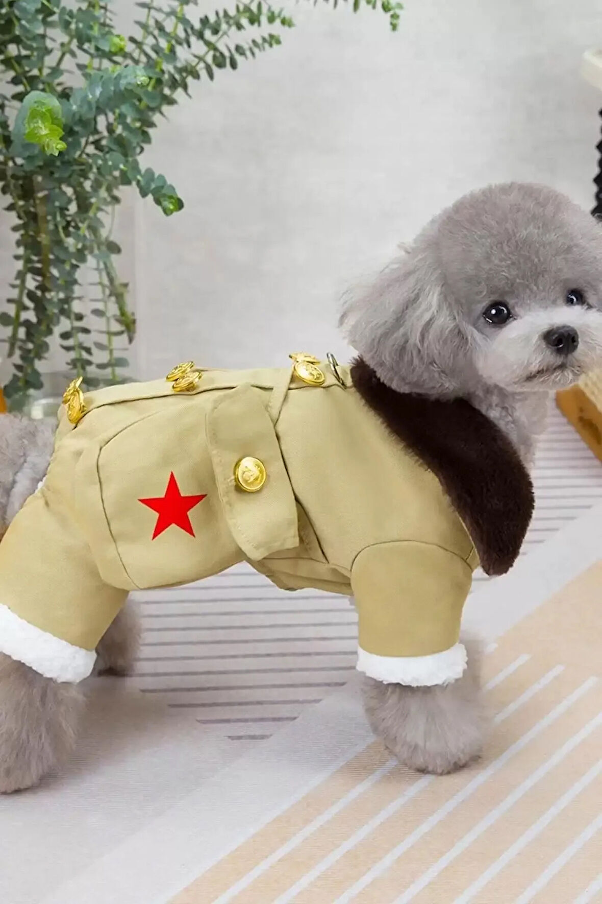 Caş Dekorasyon Bej Renk Çantalı Peluş Astarlı XL Köpek Tulum/Mont