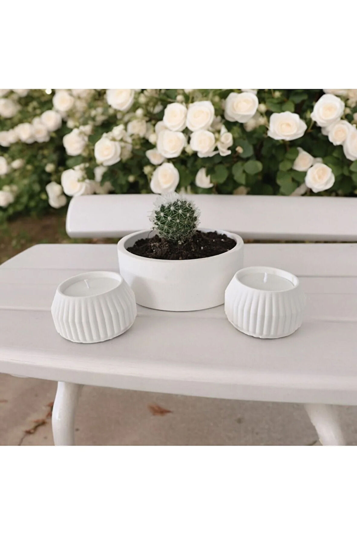 Taş Mumlukta Kaktüs ve Mum , Lavanta Kokulu %100 Doğal Soya Mum - Yuvarlak (12cm,6cm,6cm- 3 lü set