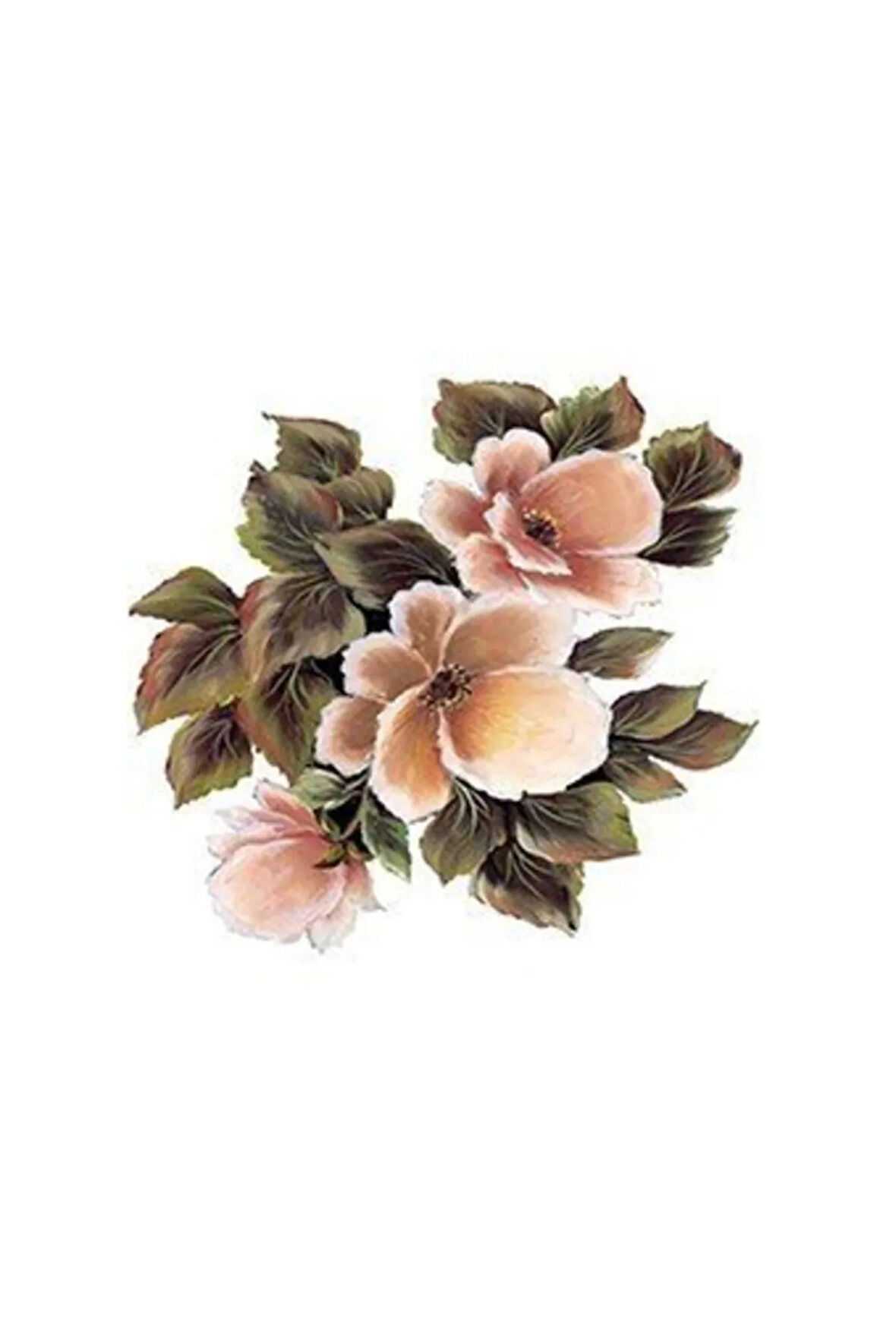 G80 25x35 Gülsün Ülkü