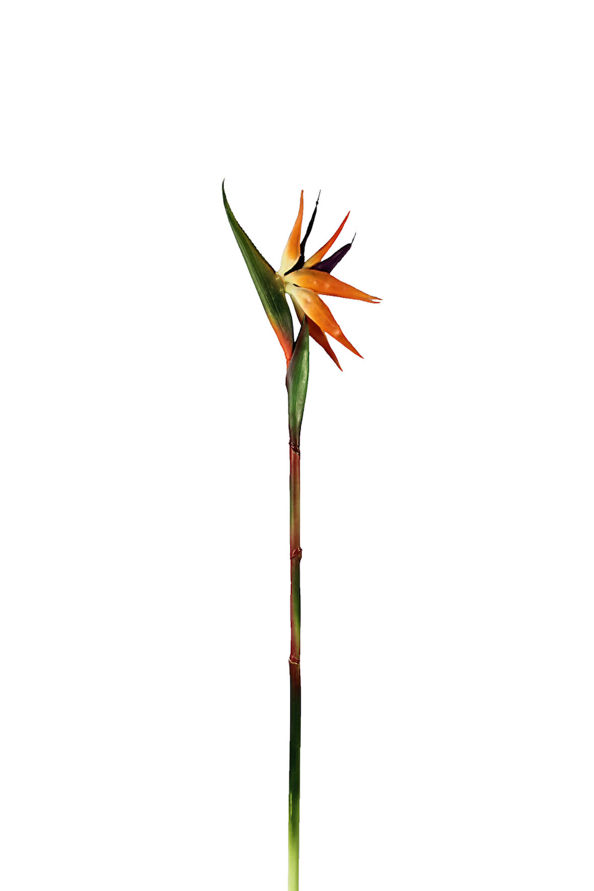 Yapay Starliçe Dalı Büyük 85 cm