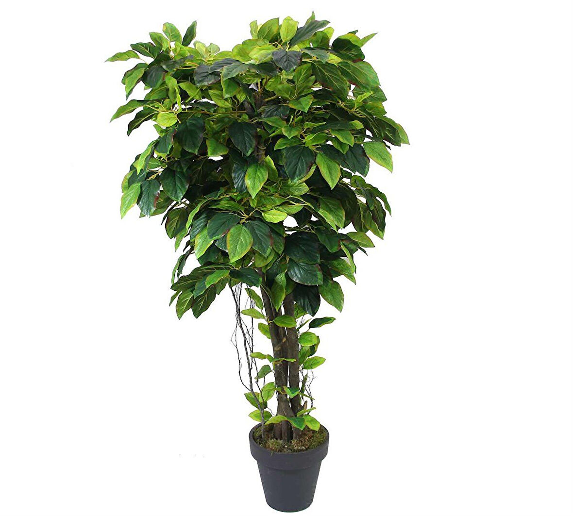 Yapay Mango Ağacı Alacalı Yeşil 170 cm