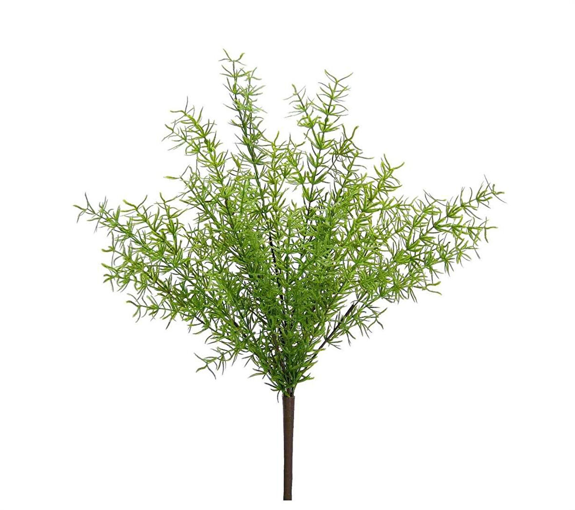 Yapay Asparagus Demeti 40 cm