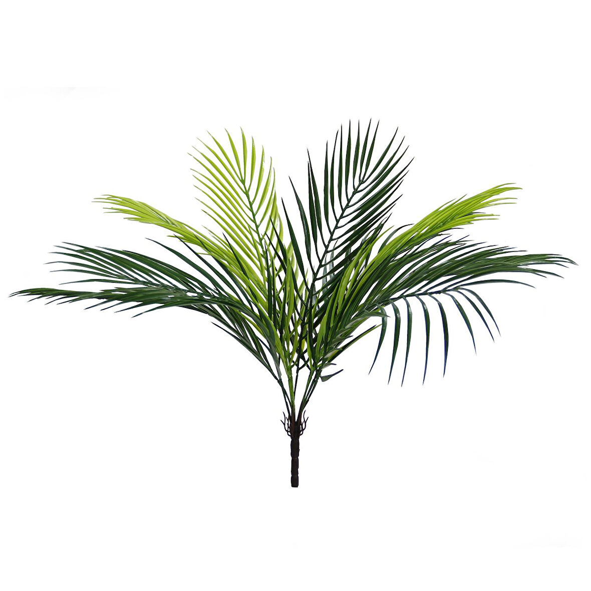 Yapay Areka Demeti 50 cm