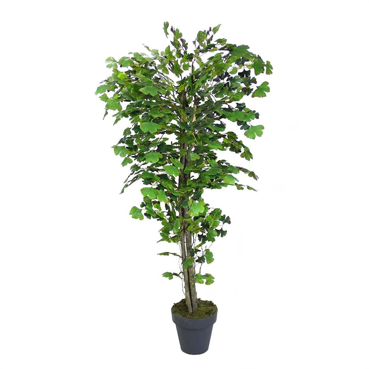 Yapay Mabet Ağacı Alacalı 170 cm