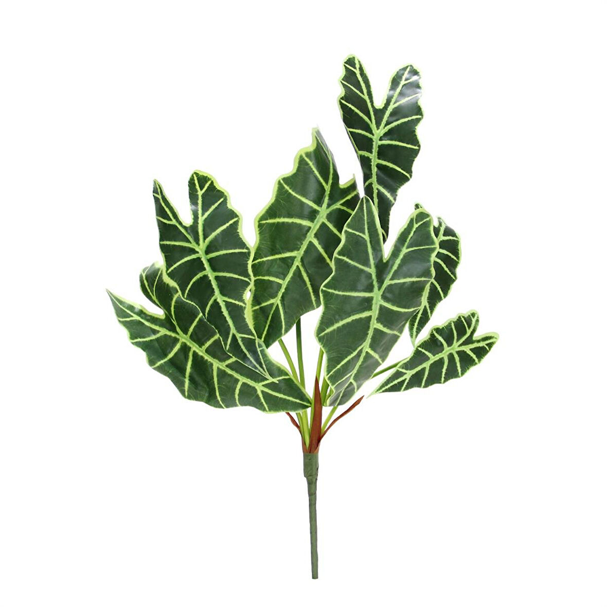 Yapay Alocasia Demeti 65 cm