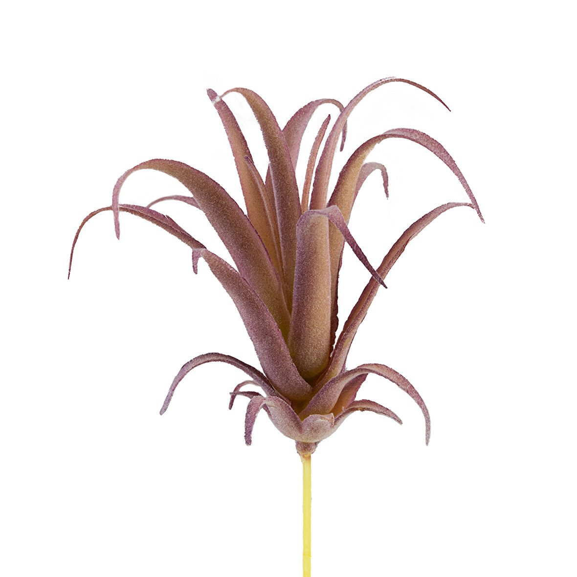 Yapay Tüylü Tillandsia Sukulent Lila 17 cm