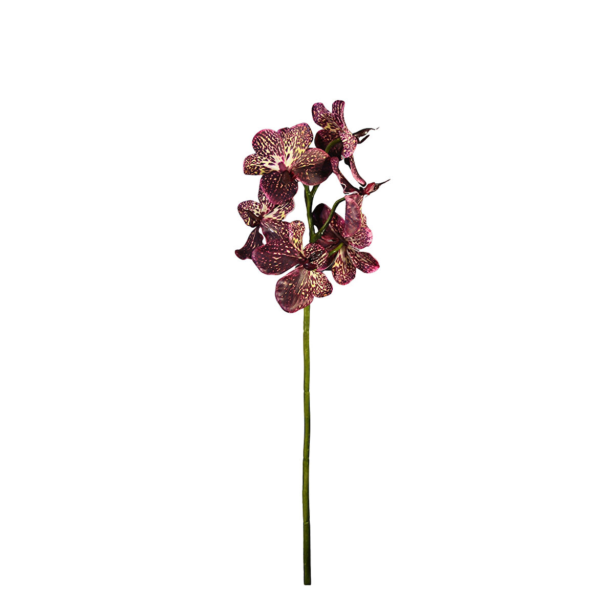 Yapay Vanda Orkide Dalı Pembe 52 cm