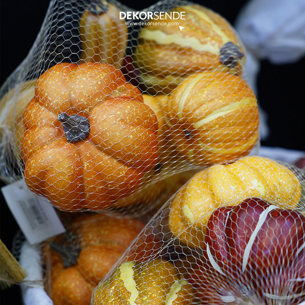 Yapay Filede Kabak Karışık