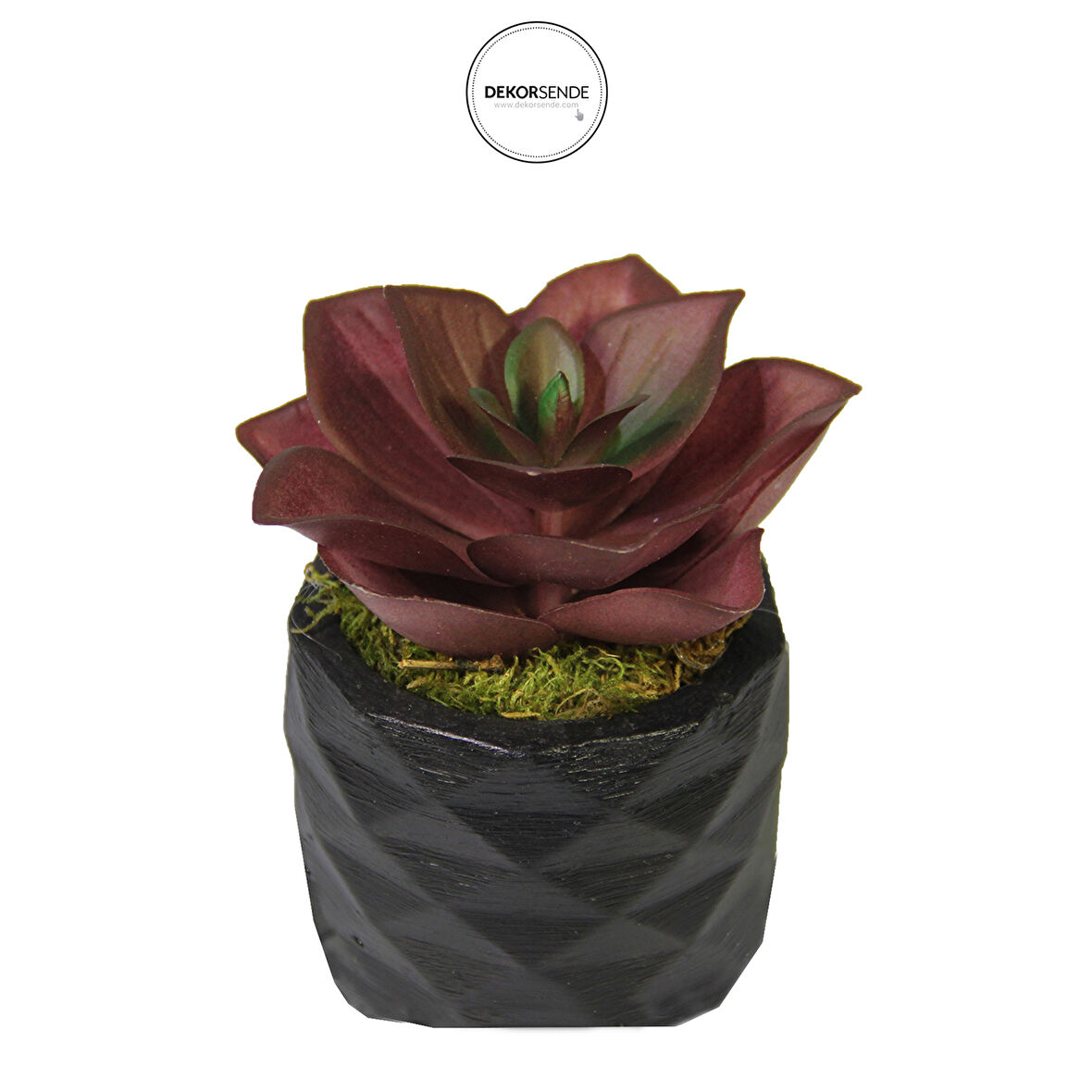 Yapay Mini Echeveria Sukulent Bordo 8 cm Saksılı