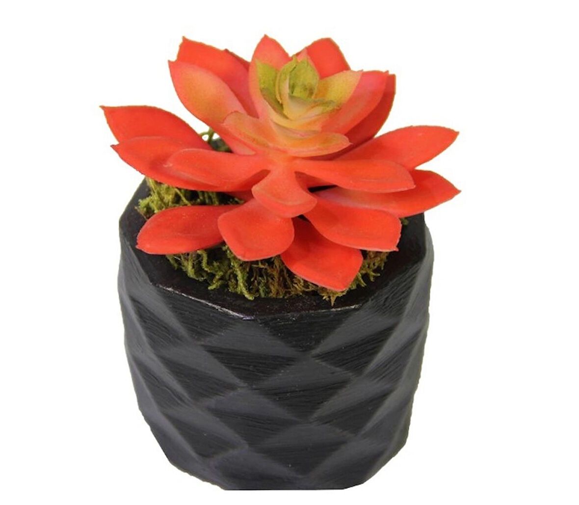 Yapay Mini Echeveria Sukulent Kırmızı 8 cm Saksılı