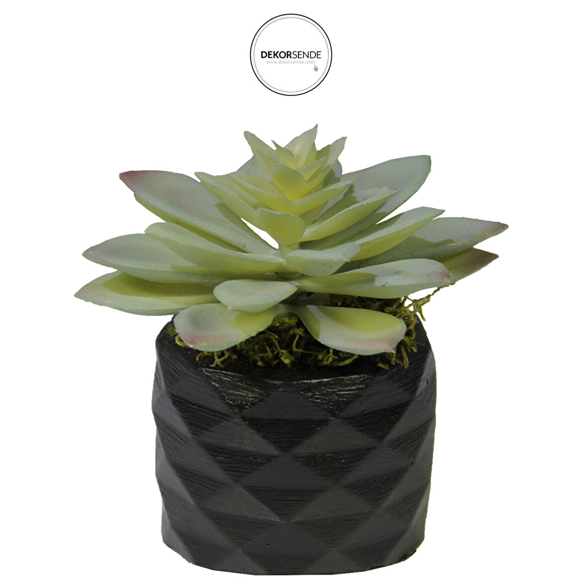 Yapay Mini Etli Echeveria Sukulent Açık Yeşil 12 cm Saksılı