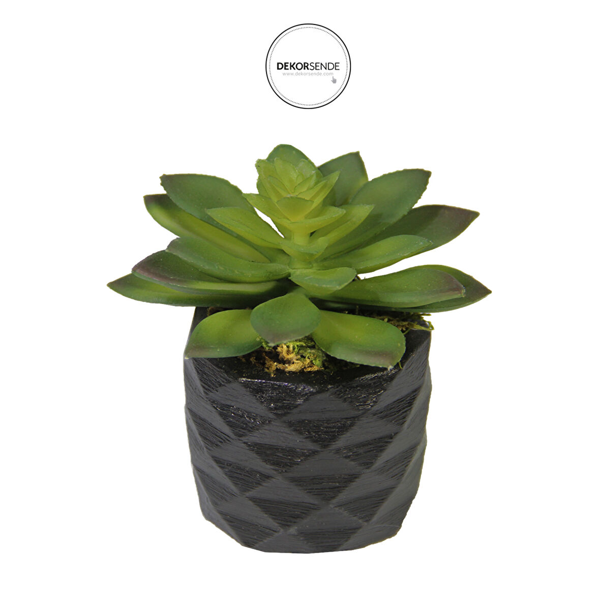 Yapay Mini Etli Echeveria Sukulent Yeşil 12 cm Saksılı