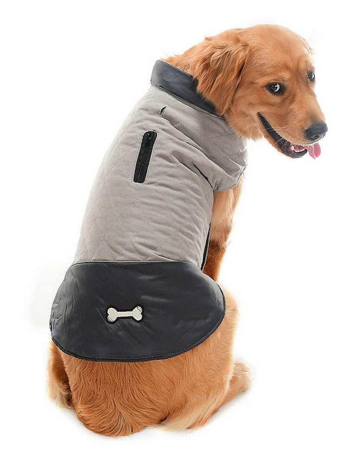 Orta ve Büyük Irk Köpek Mont - Nifler Gri