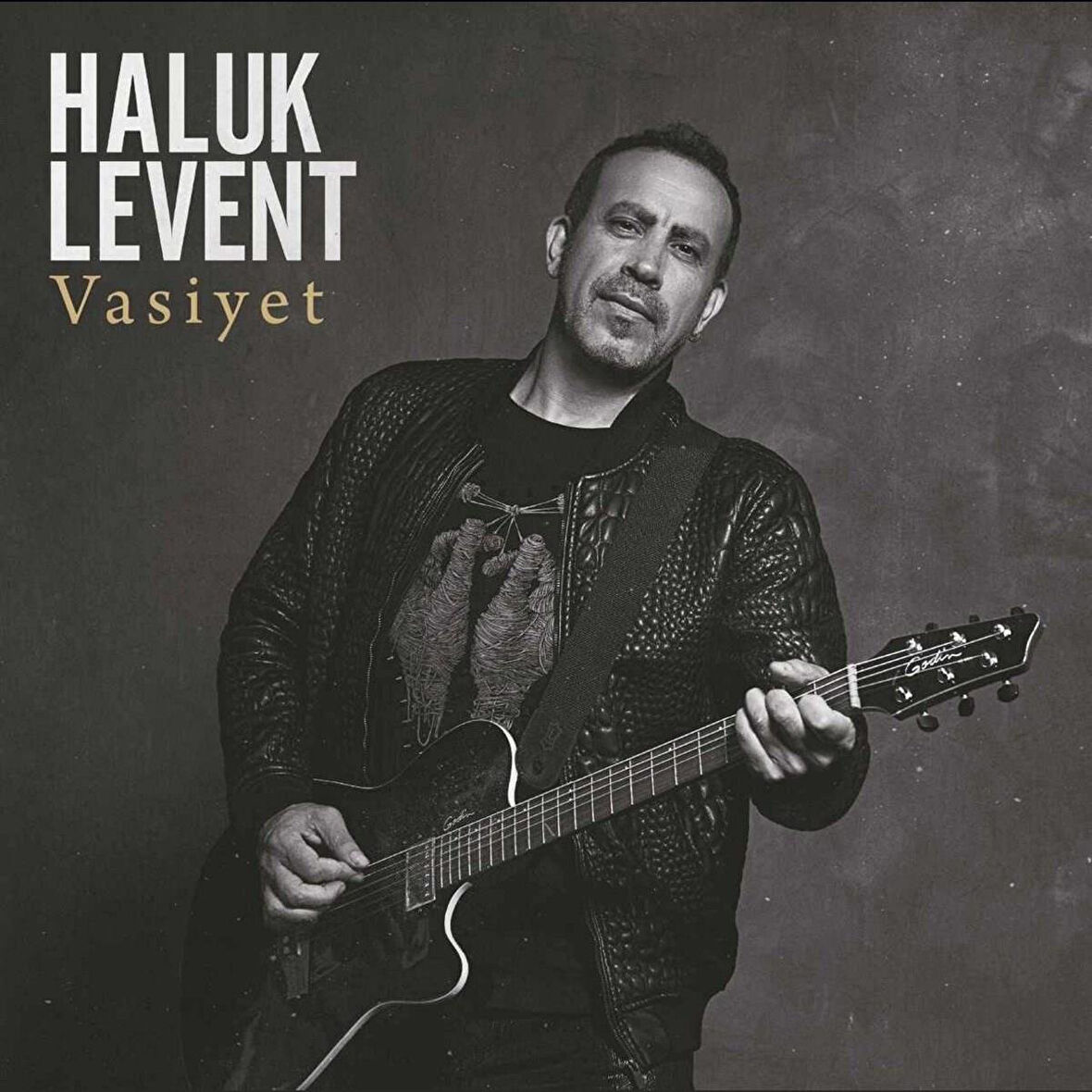 Haluk Levent Vasiyet - 2 Plak