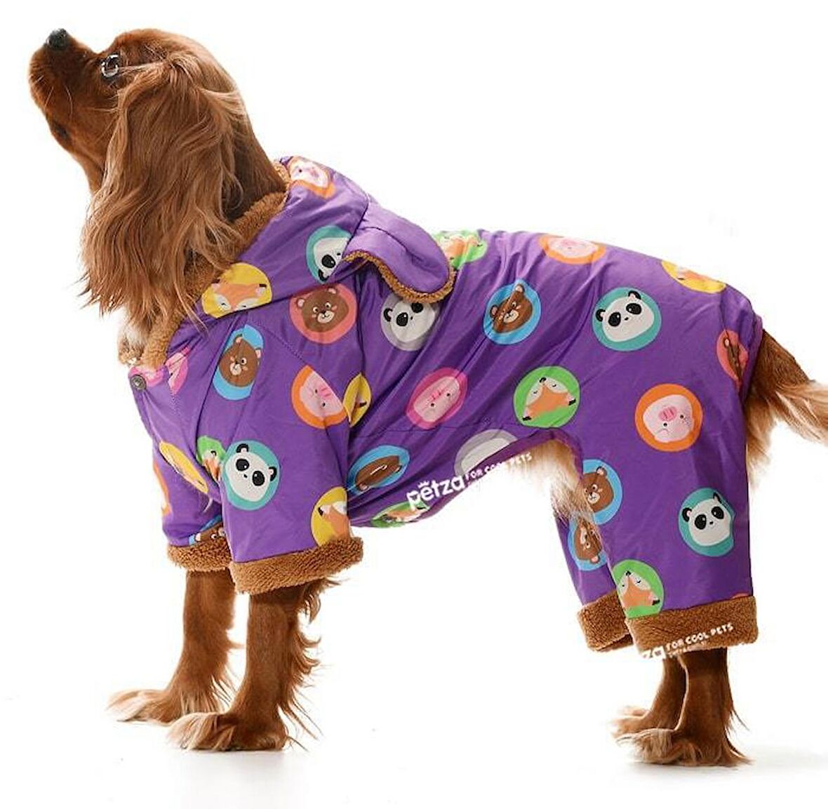 Küçük ve Orta Irk Köpek Paçalı Mont Karita Mor
