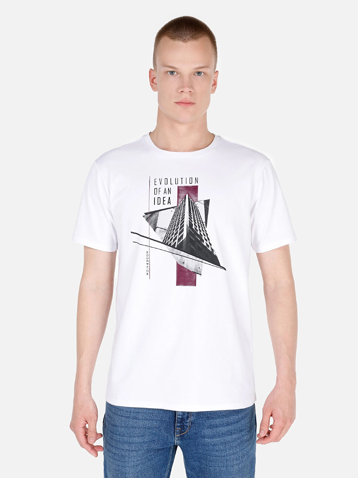 Regular Fit Bisiklet Yaka Baskılı Beyaz Erkek Kısa Kol Tişört