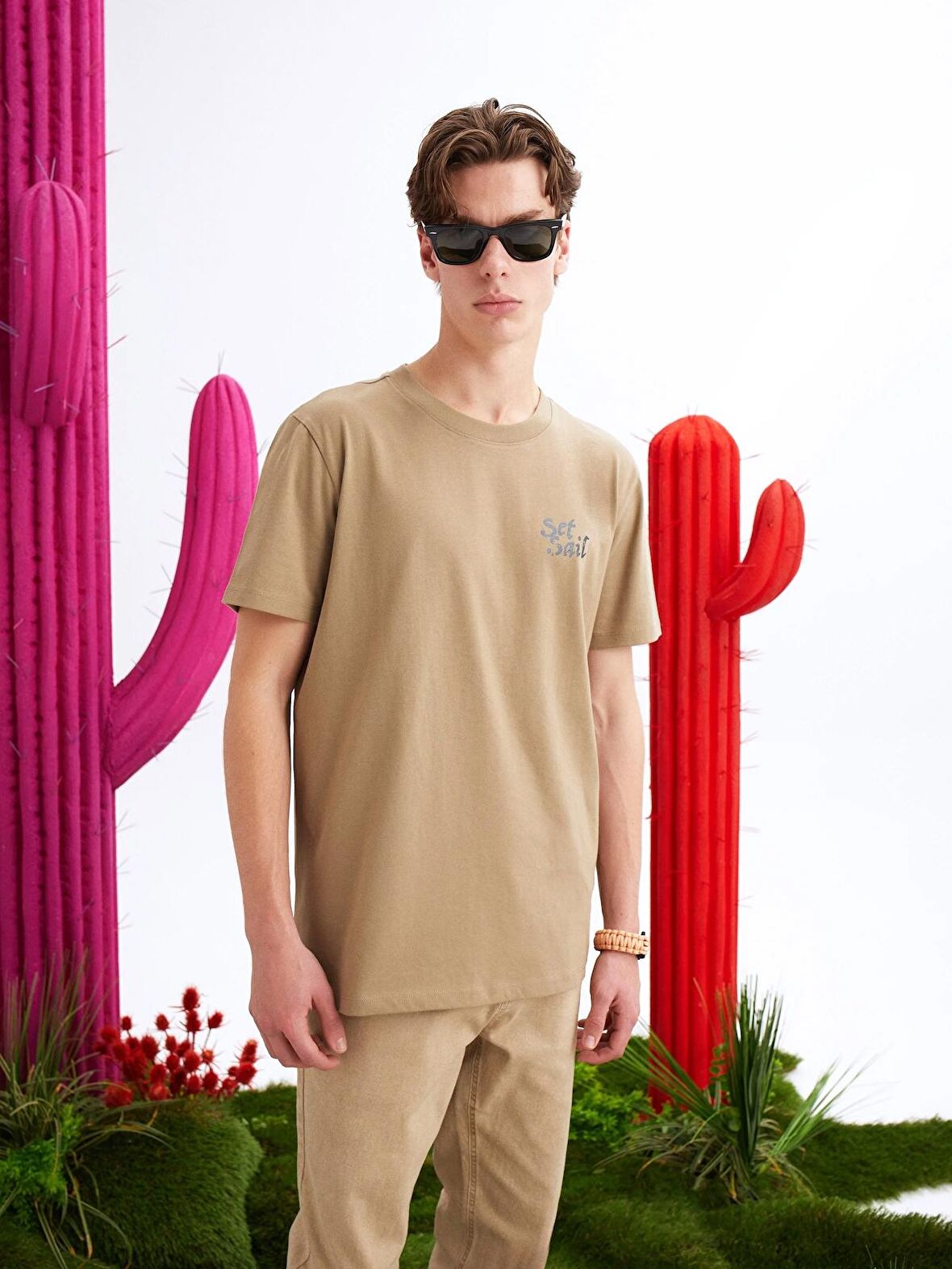 Normal Kesim Bisiklet Yaka Baskılı Gri Erkek Kısa Kol Tişört Cl1068195