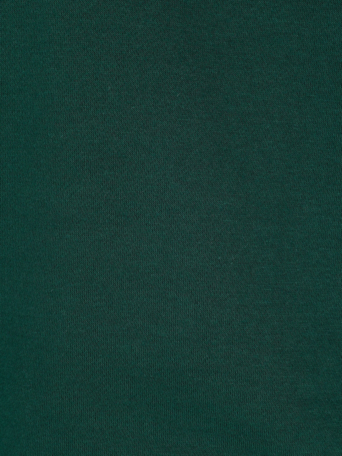 Normal Kesim Kapüşonlu Baskılı Yeşil Kadın Sweatshirt Cl1070247